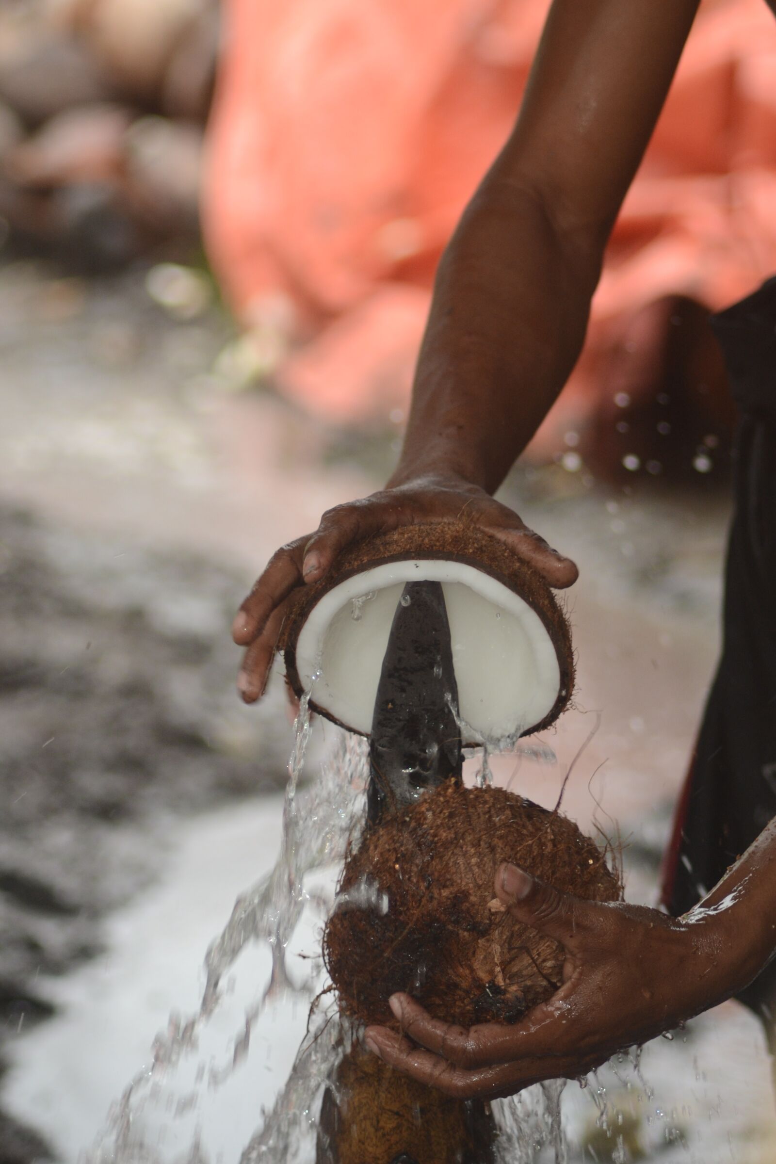 Nikon D3100 sample photo. Coconut, copra, coco photography