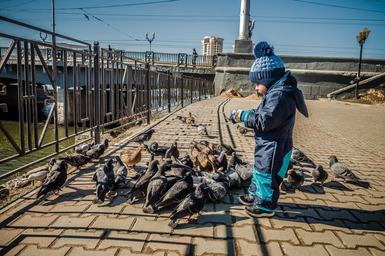 Olympus OM-D E-M5 II + Olympus M.Zuiko Digital ED 12-40mm F2.8 Pro sample photo. Pigeons, boy, baby photography