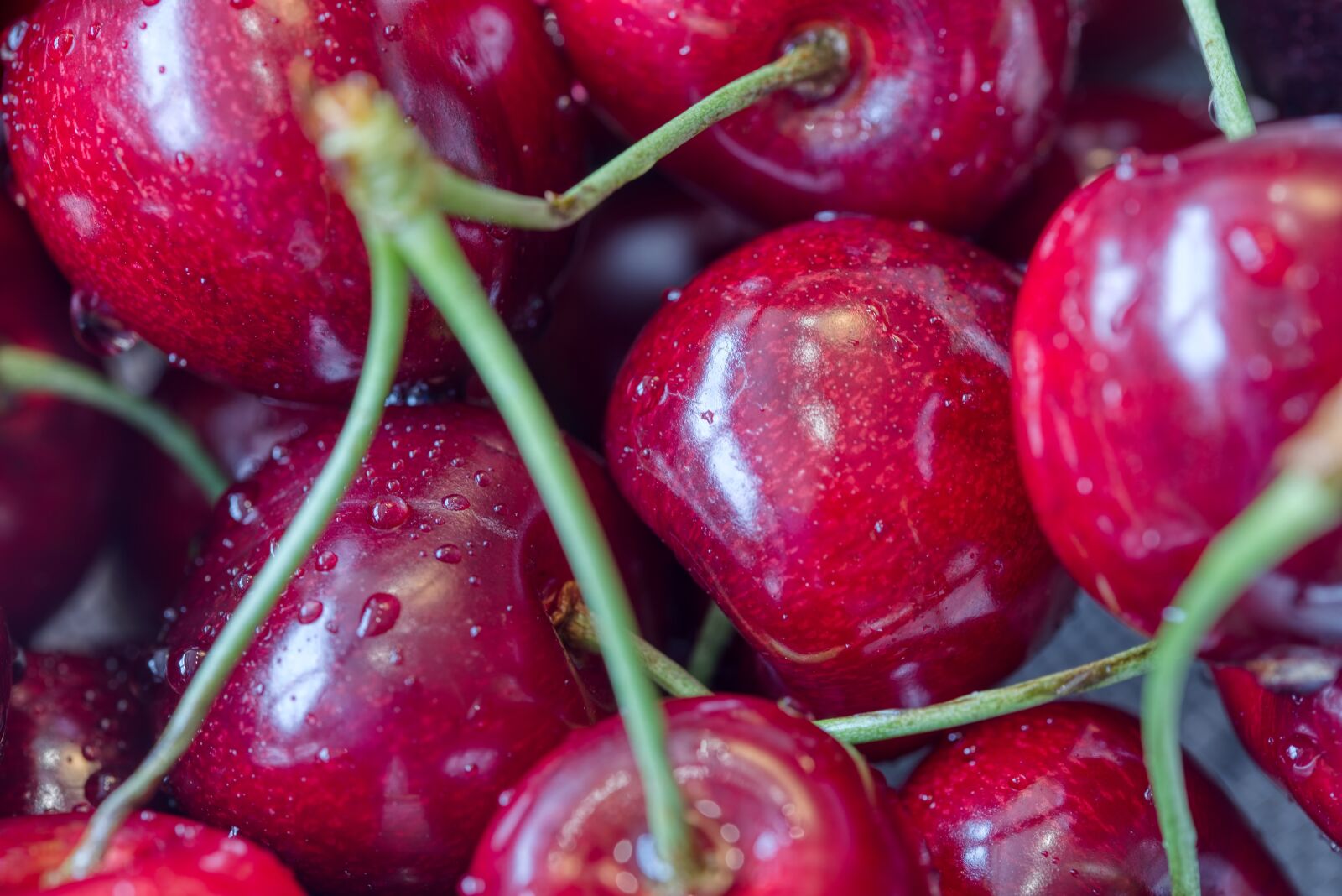 Nikon D750 sample photo. Cherries, stone fruit, fruits photography