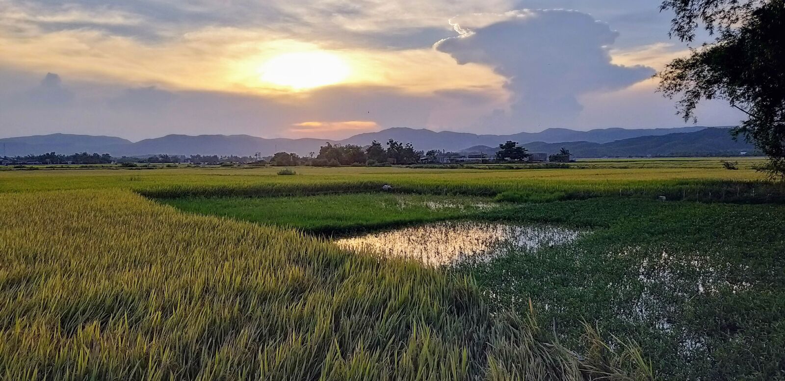 Samsung Galaxy A9 (2018) sample photo. Countryside view, countryside, phu photography