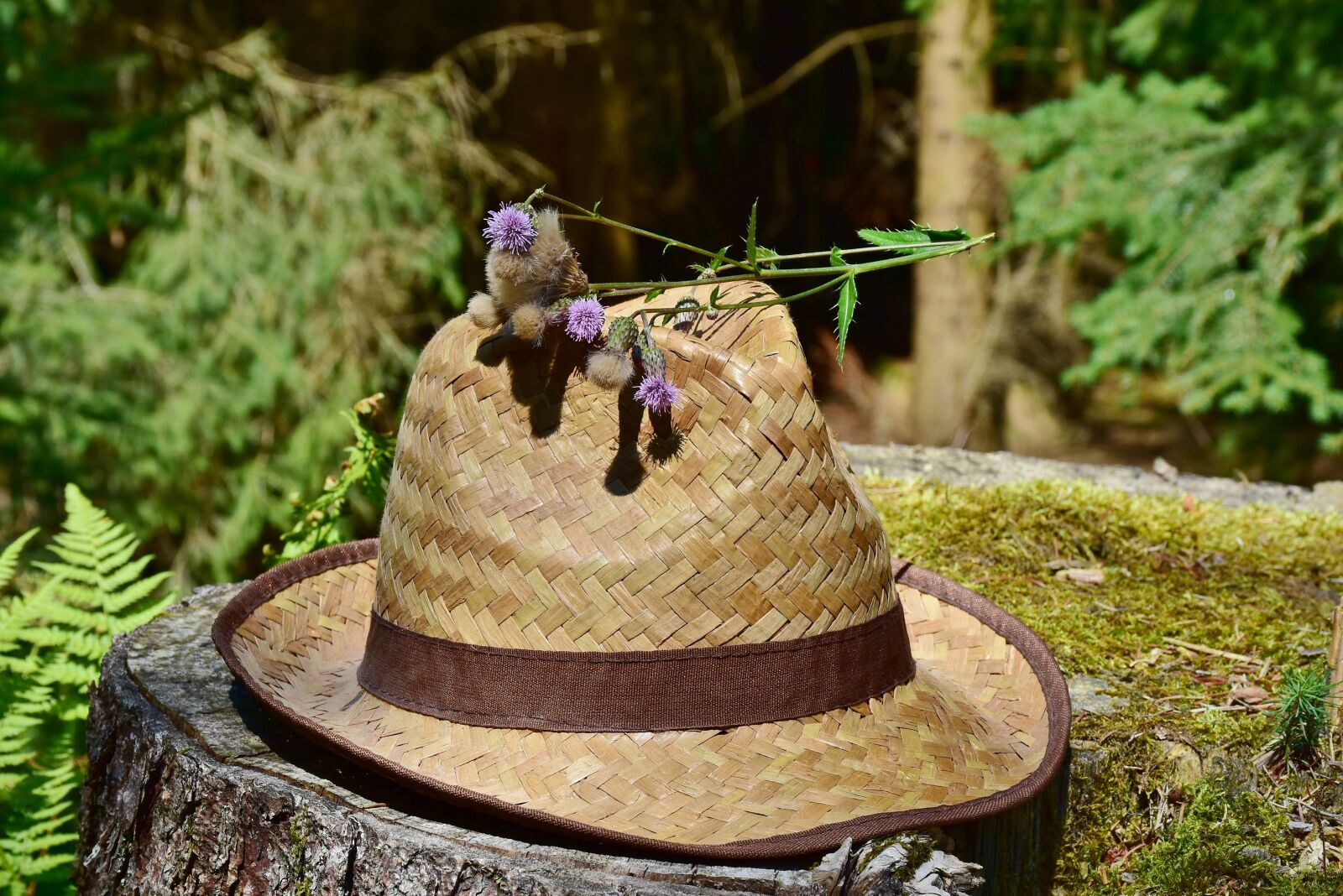 Nikon D7200 sample photo. Hat, straw hat, sun photography