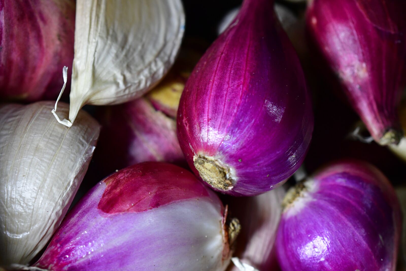 Nikon D500 sample photo. Onions, garlic, spice photography