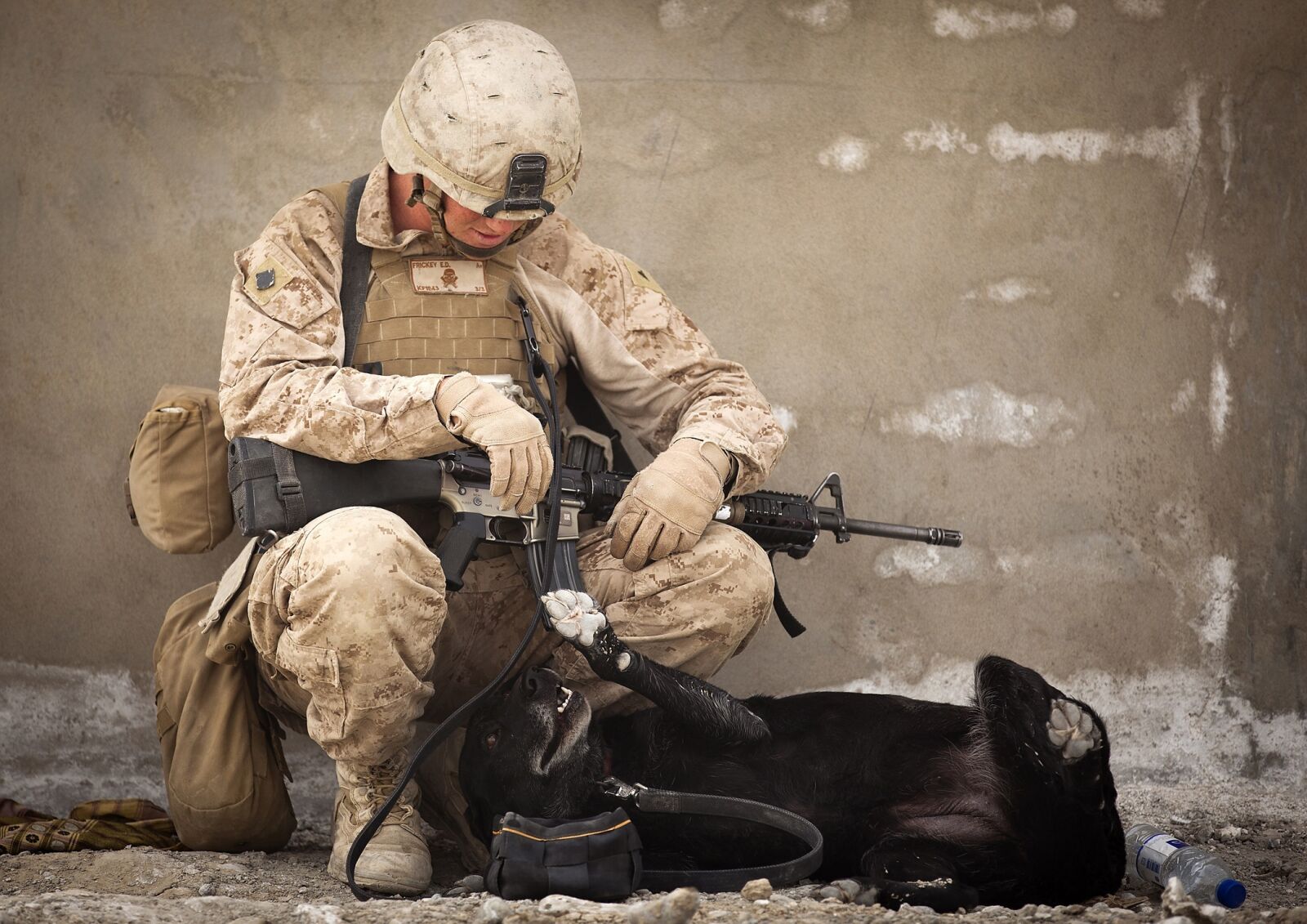 Canon EOS 5D Mark II sample photo. Working dog, military, handler photography