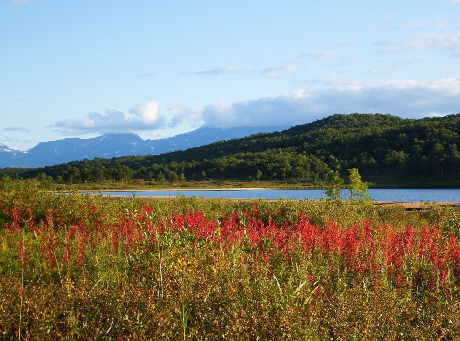 Fujifilm FinePix S1 sample photo. Lake, mountains, forest photography