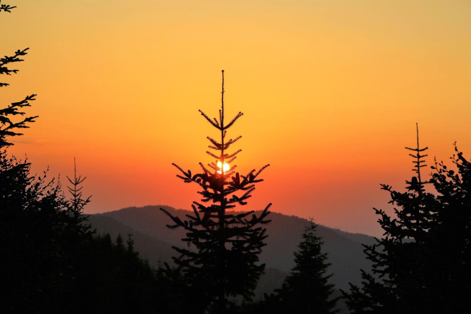 Canon EF 24-105mm F4L IS USM sample photo. Sunset, solar, sky photography