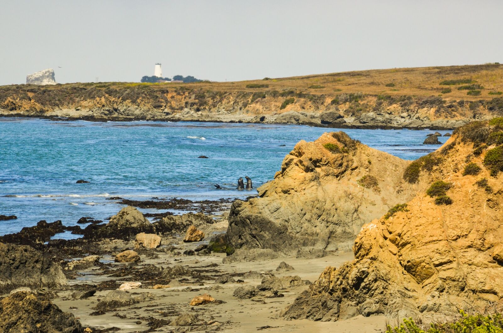 Nikon D5100 sample photo. Usa, america, california photography