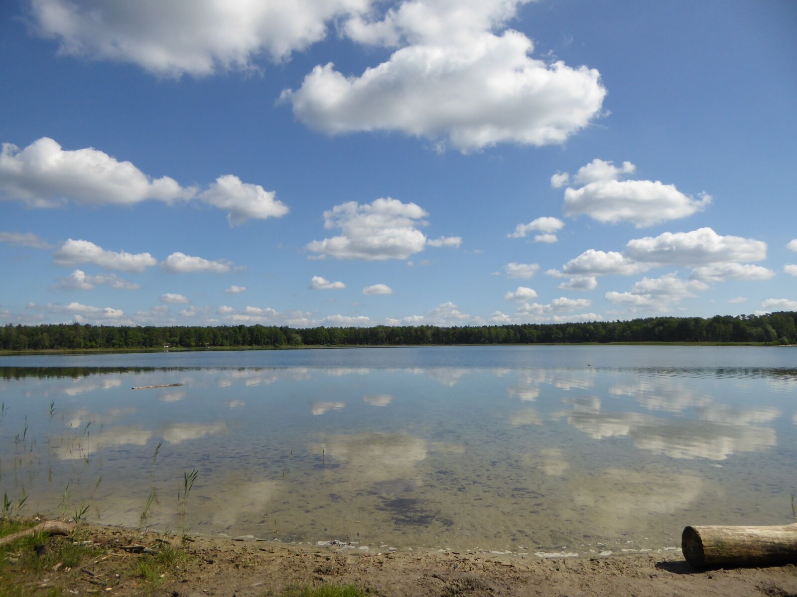 Panasonic DMC-TZ61 sample photo. Lake, water, badesee photography