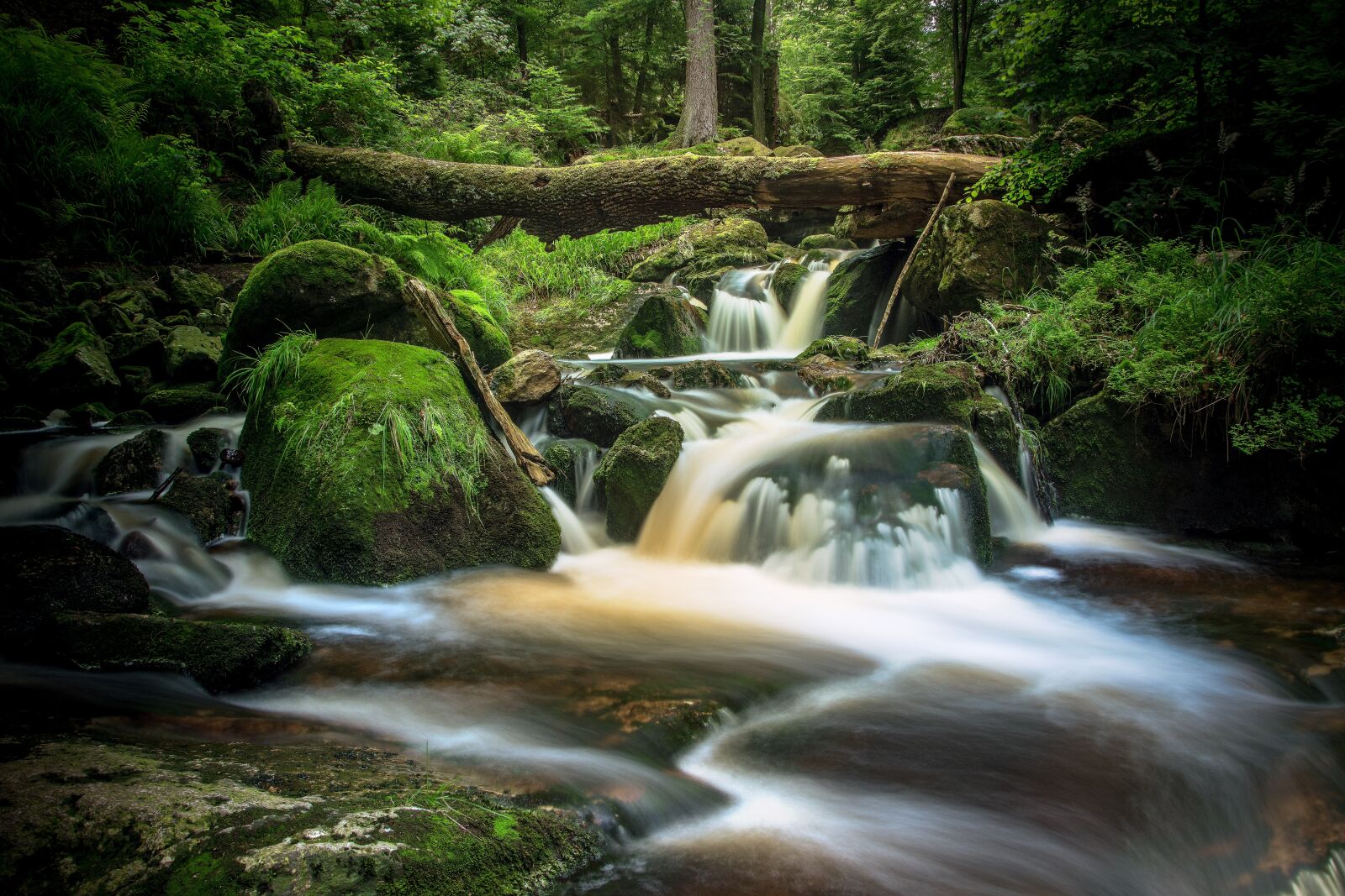 Nikon D7200 sample photo. Bach, long exposure, ilse photography