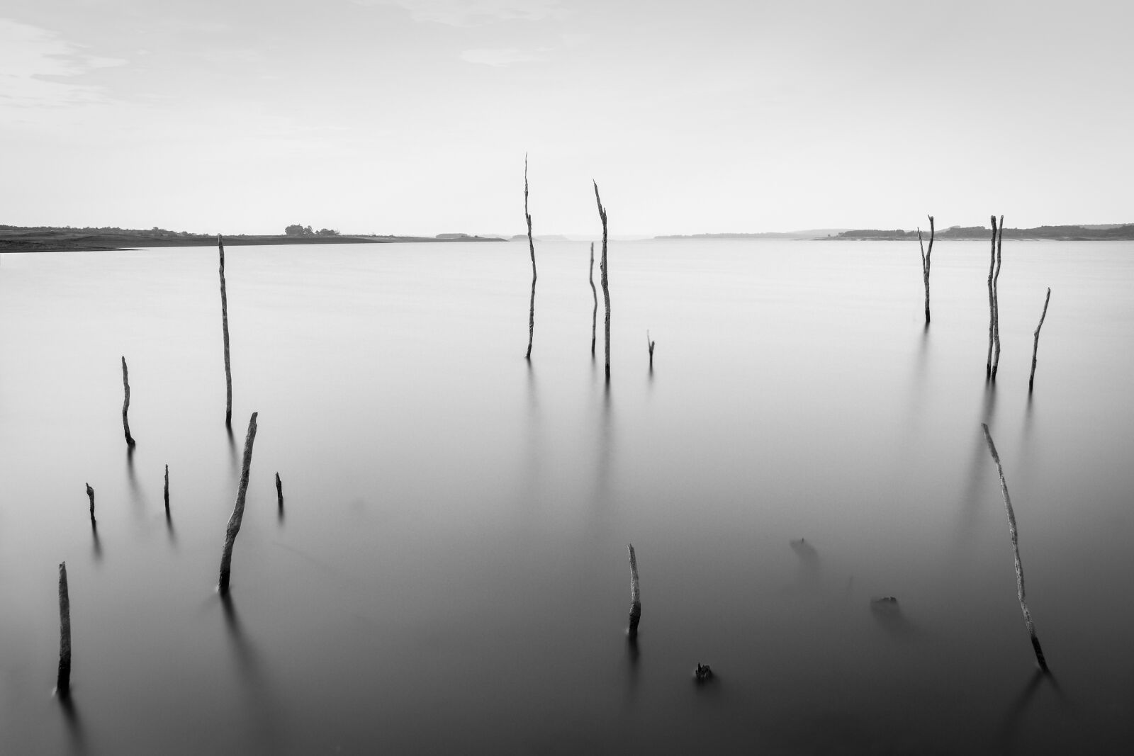 Nikon D7200 sample photo. Black and white, simple photography