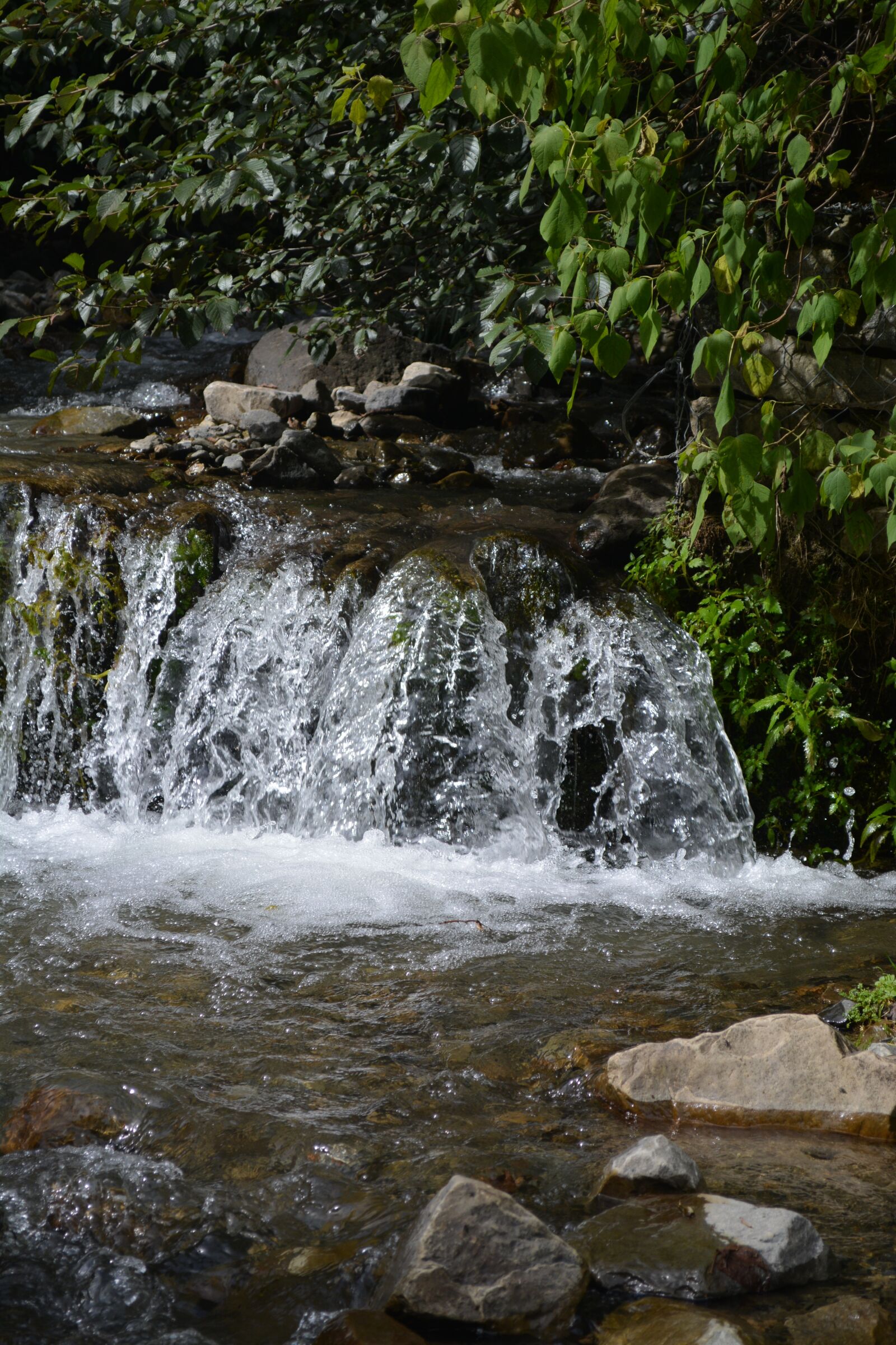 Nikon D5200 sample photo. Bolivia, cochabamba, relajacion photography