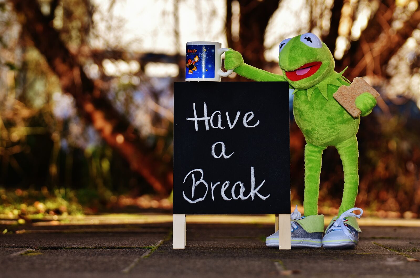 Nikon D7200 sample photo. Kermit, cup, drink coffee photography