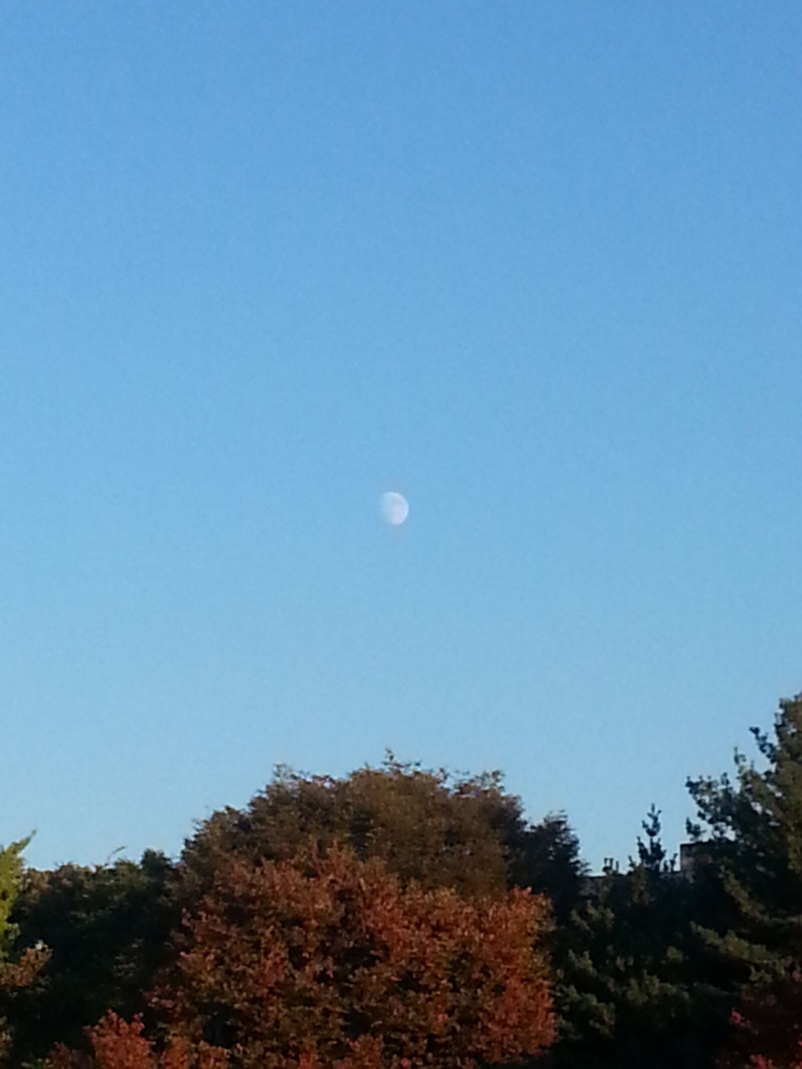 Samsung Galaxy Note2 sample photo. 달, 산, 하늘 photography