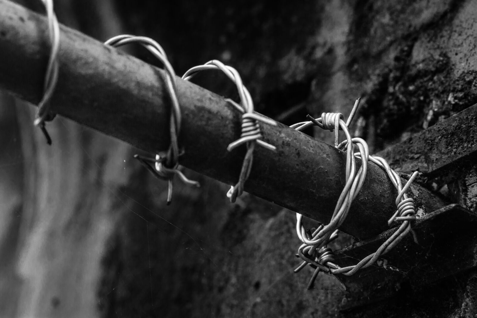 Canon EOS 700D (EOS Rebel T5i / EOS Kiss X7i) sample photo. Wire, tube, industry photography
