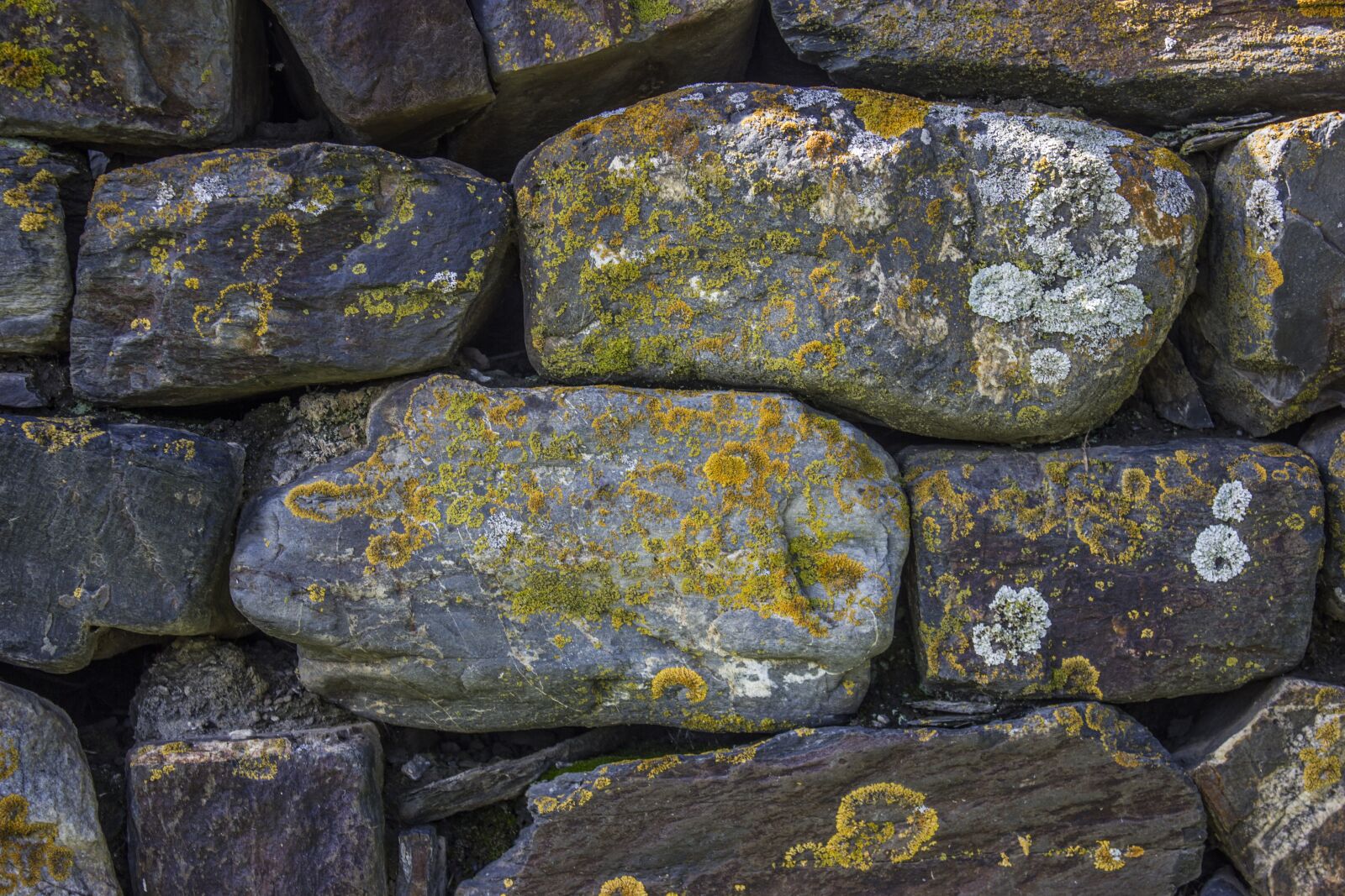 Canon EOS 550D (EOS Rebel T2i / EOS Kiss X4) sample photo. Masonry, stone, stone masonry photography