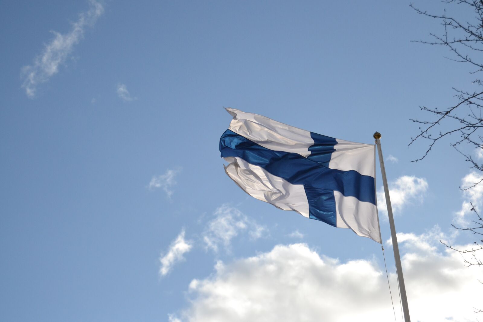 Nikon D3100 sample photo. Flag of finland, finnish photography