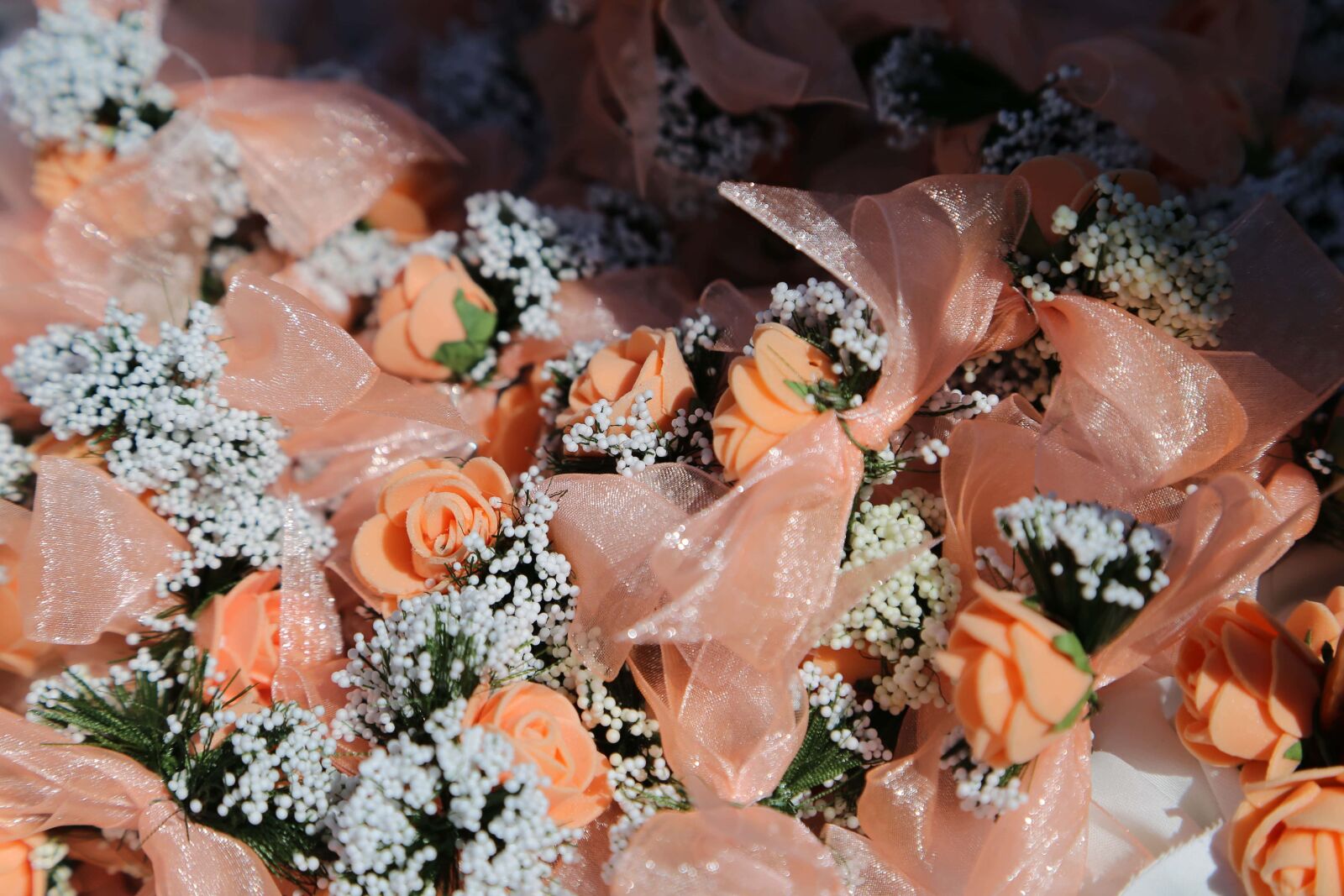 Canon EF 24-105mm F4L IS USM sample photo. Decoration, homemade, handmade, romantic photography