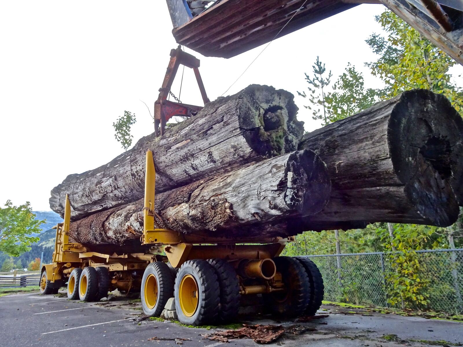 Sony Cyber-shot DSC-HX90V sample photo. Lumber, timber truck, logging photography