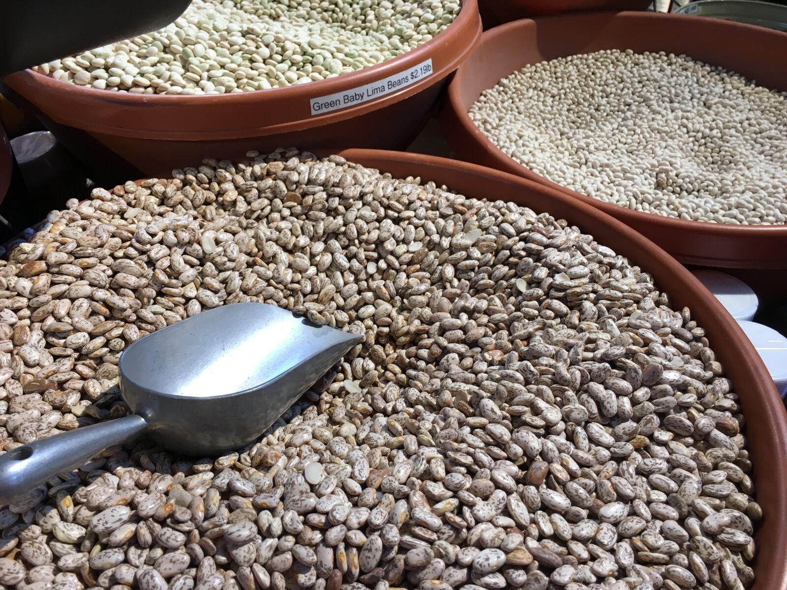 iPhone 6s back camera 4.15mm f/2.2 sample photo. Bean, dry, beans photography
