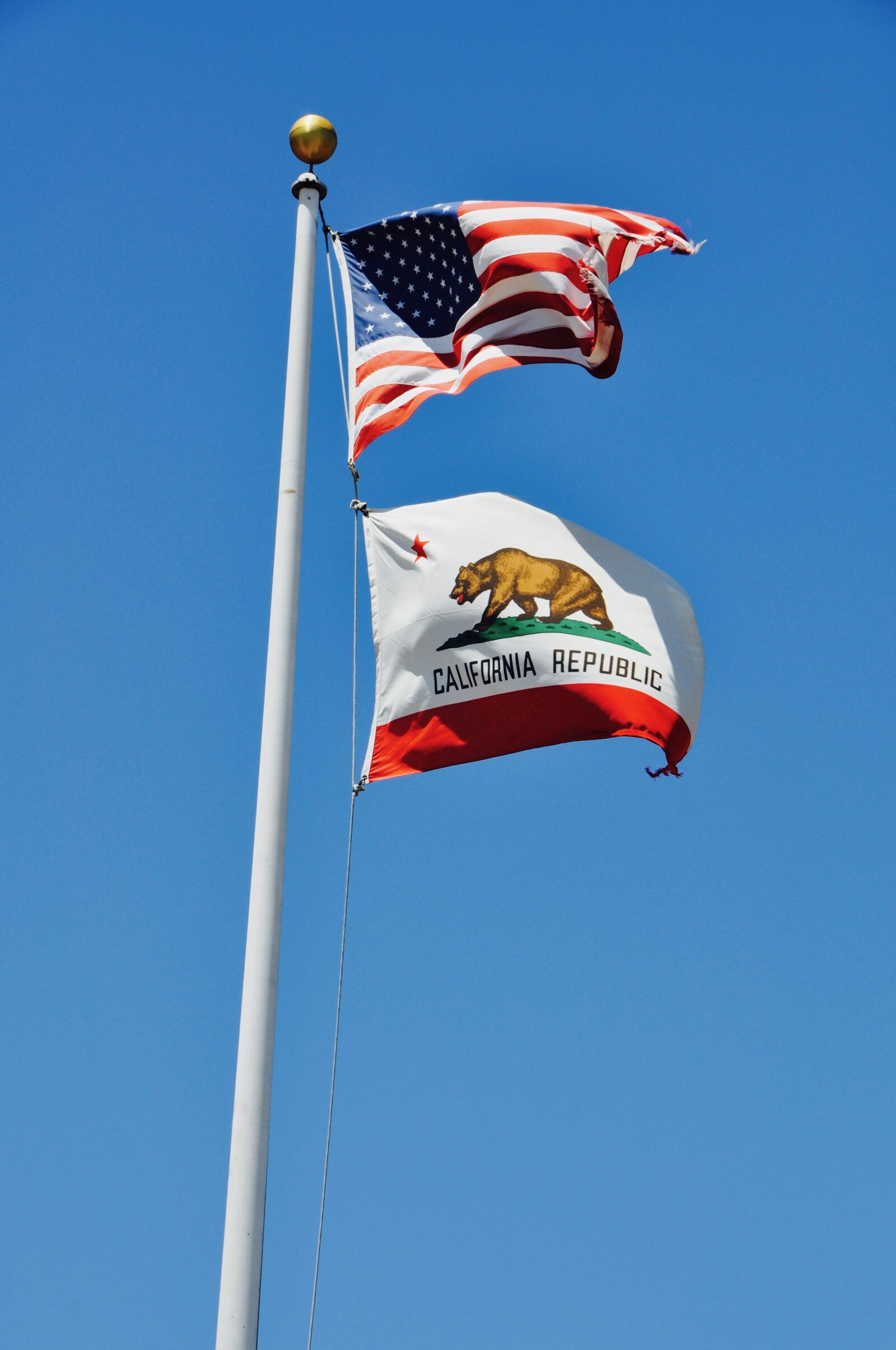 Nikon D5000 sample photo. American flag, usa, californian photography