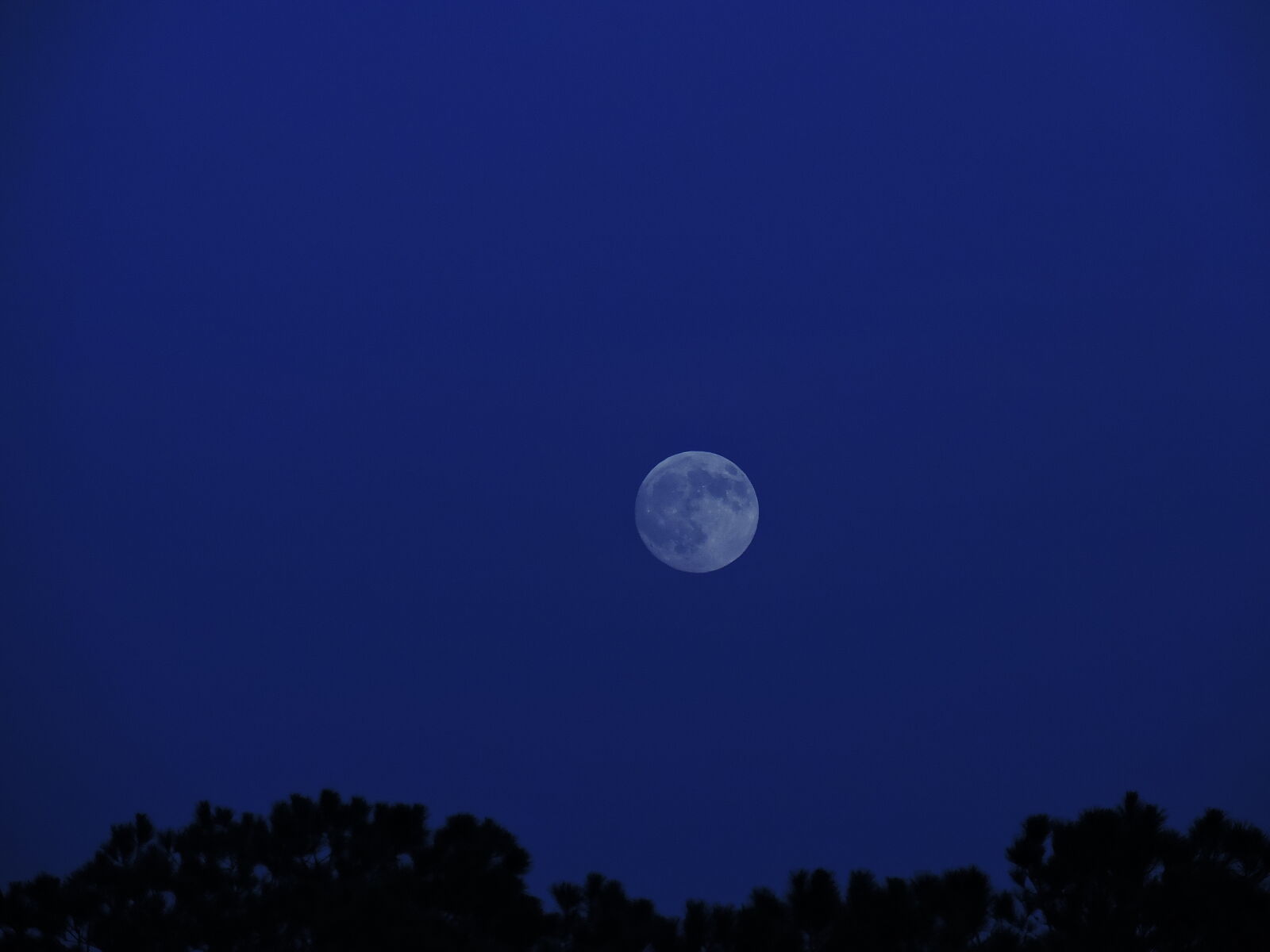 Nikon Coolpix P530 sample photo. Moon, night photography