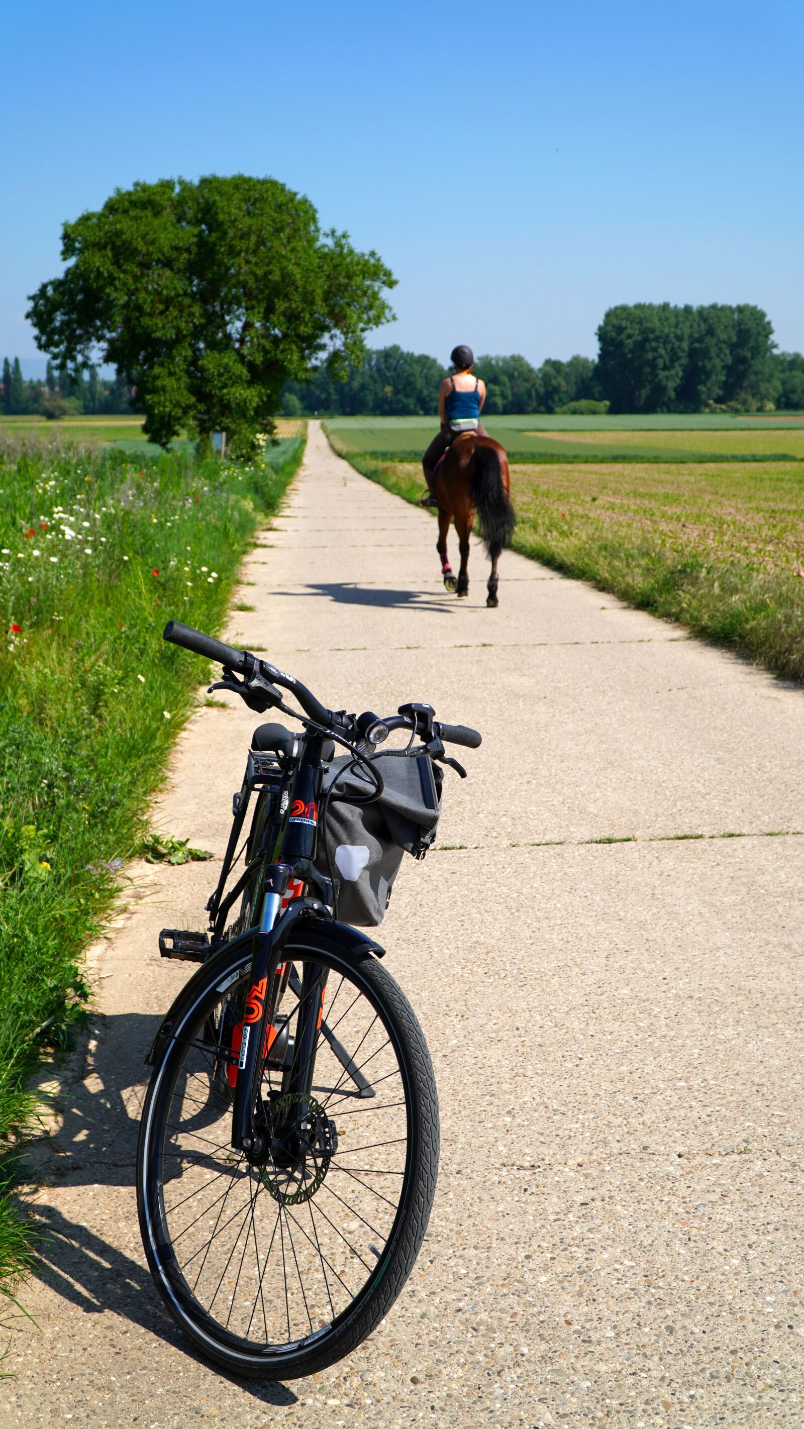 Sony a6400 sample photo. Bike, horse, landscape photography