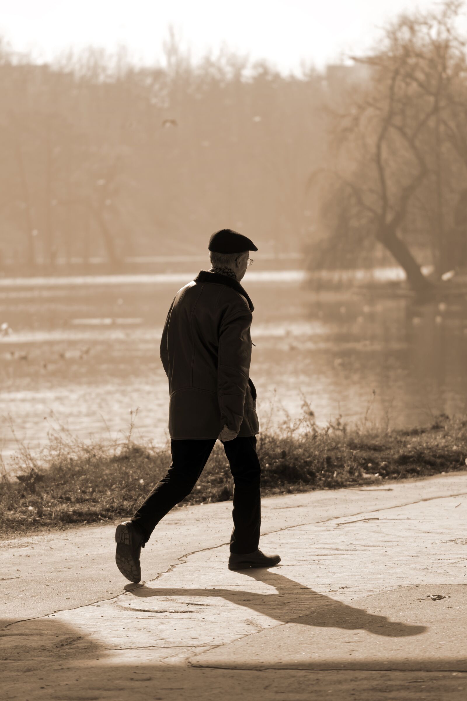 Nikon D5300 sample photo. Man, person, age photography