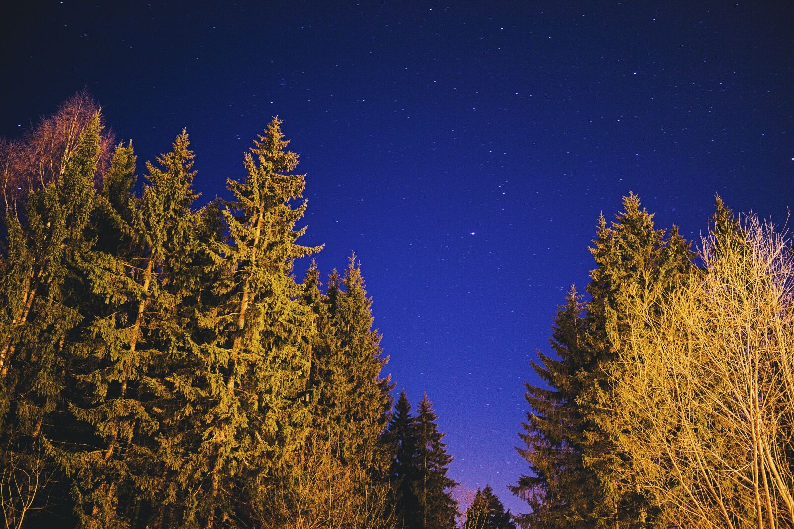 Canon EOS 100D (EOS Rebel SL1 / EOS Kiss X7) sample photo. Star, night sky, landscape photography