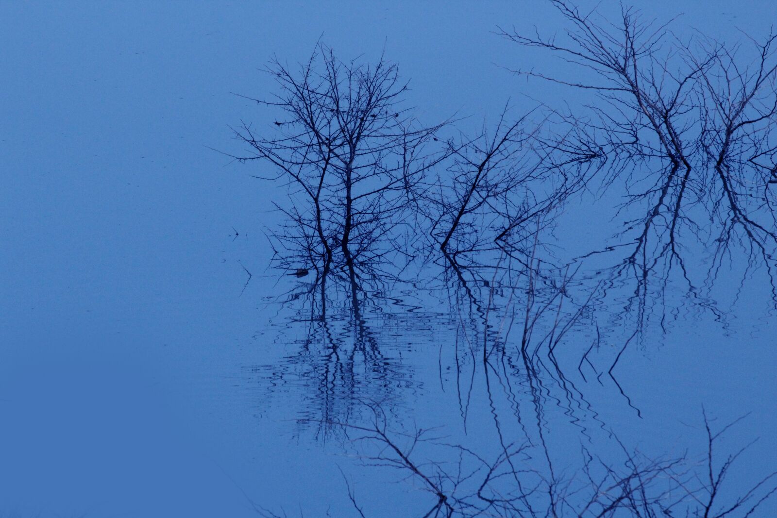 Canon EOS 1200D (EOS Rebel T5 / EOS Kiss X70 / EOS Hi) sample photo. Nightmare, blue, water photography