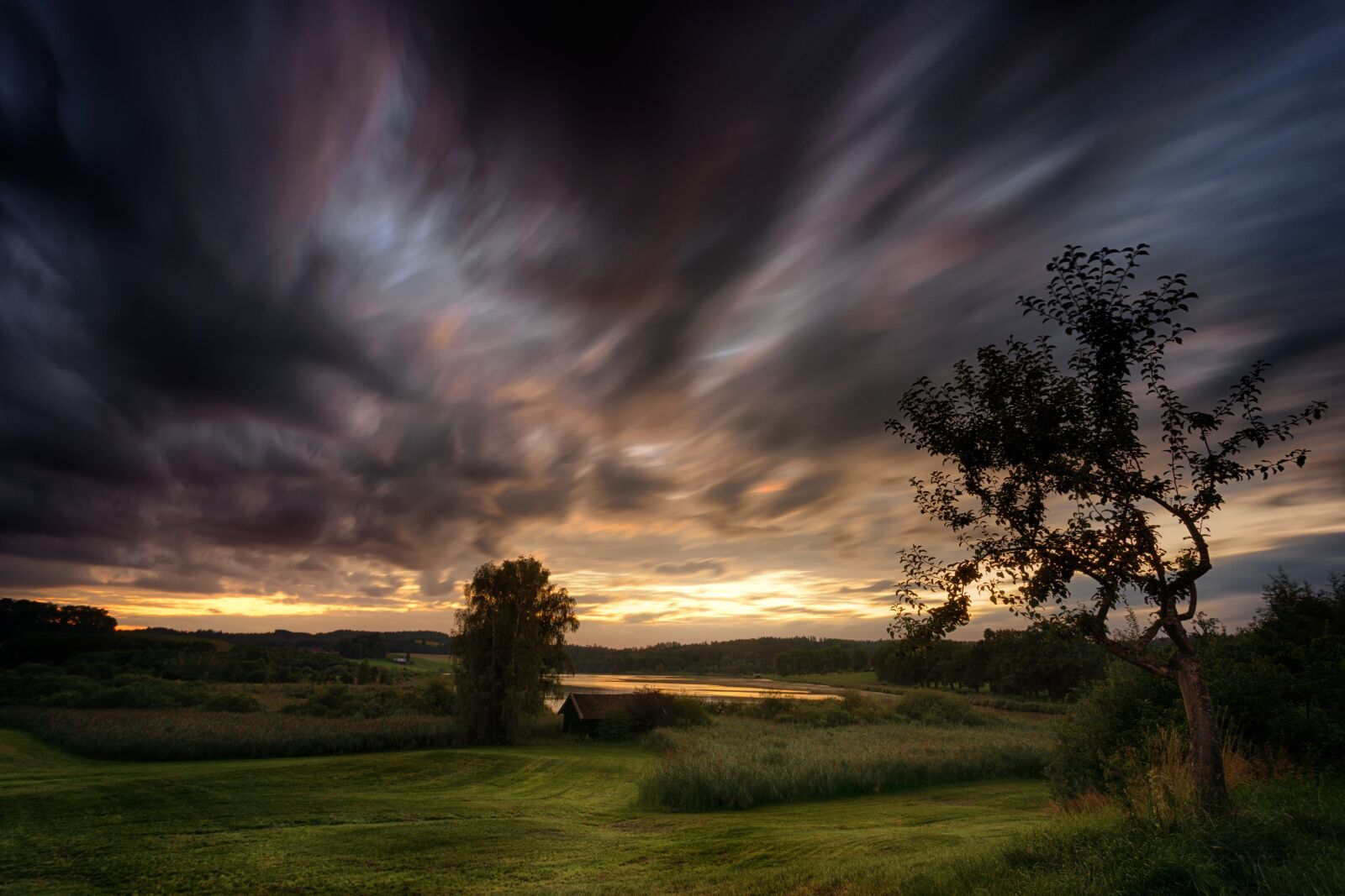 Sony a7 + Sony DT 50mm F1.8 SAM sample photo. Sunset, nature, tree photography