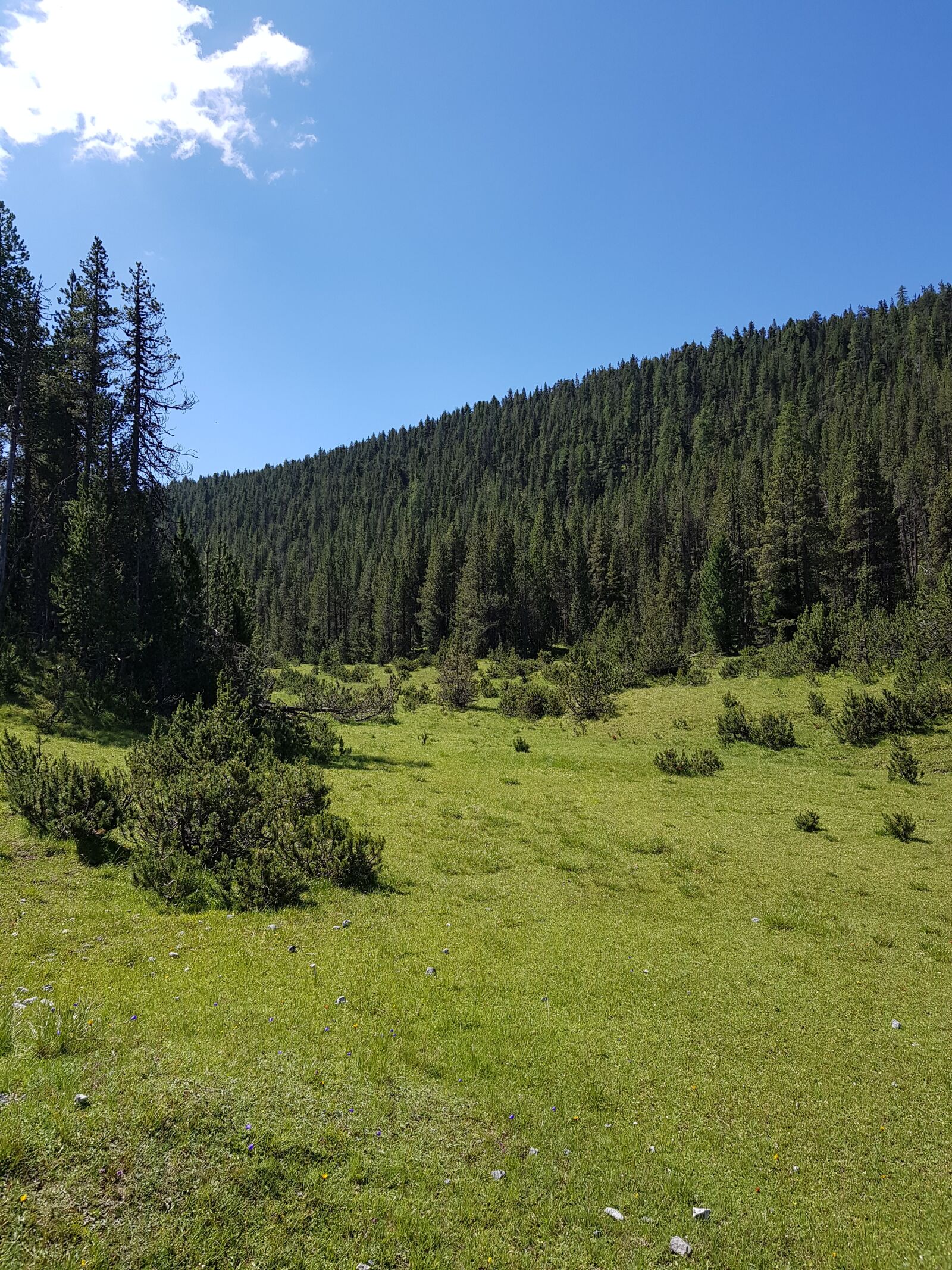 Samsung Galaxy S8 sample photo. Engadin, national park, tourism photography