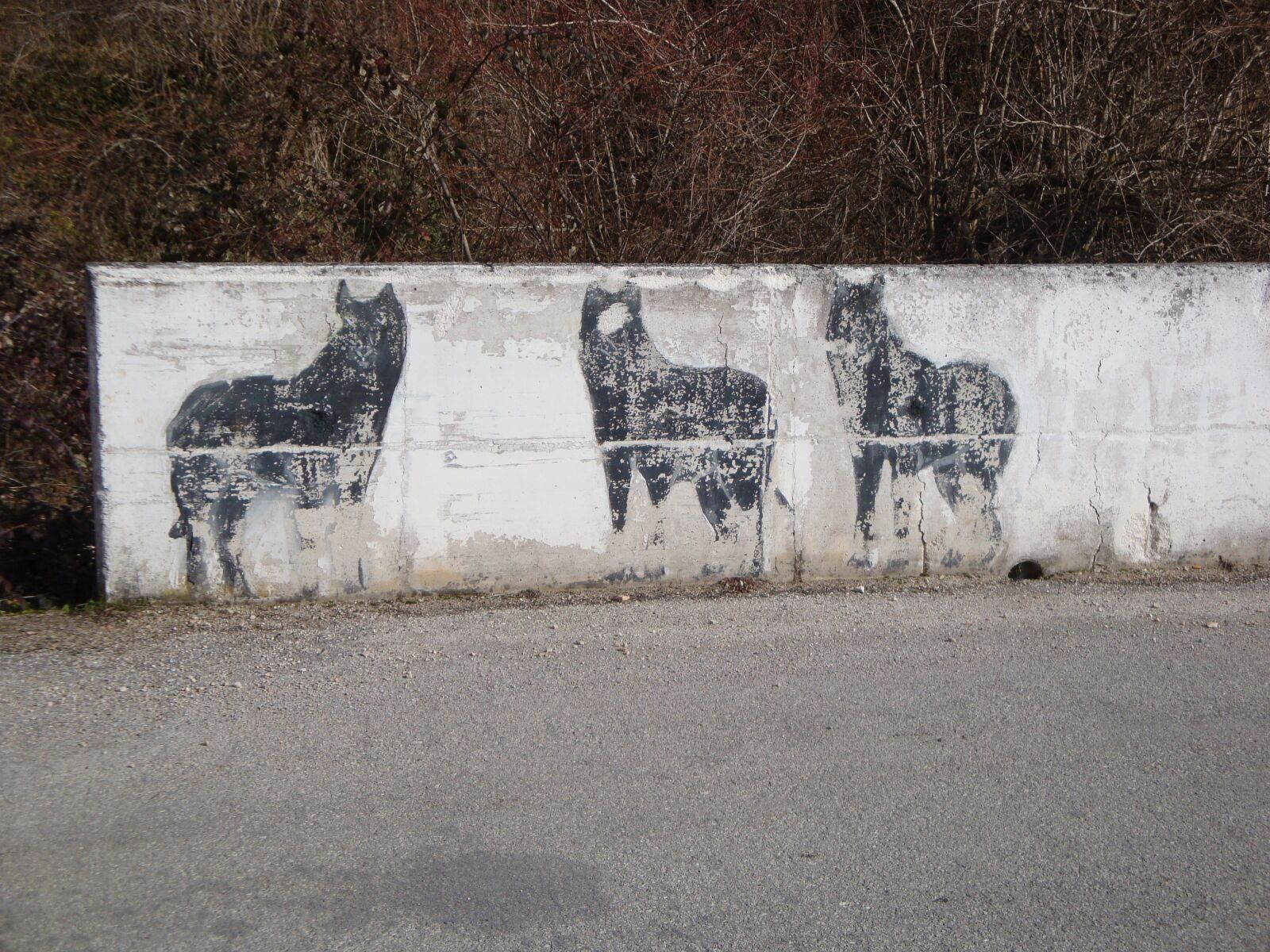 Sony Cyber-shot DSC-W170 sample photo. Wolves, mountain, murals photography