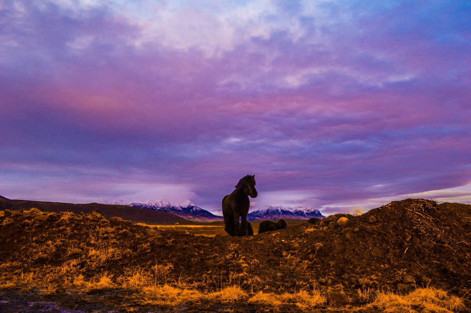 Nikon D3200 sample photo. Iceland, golden circle, nature photography