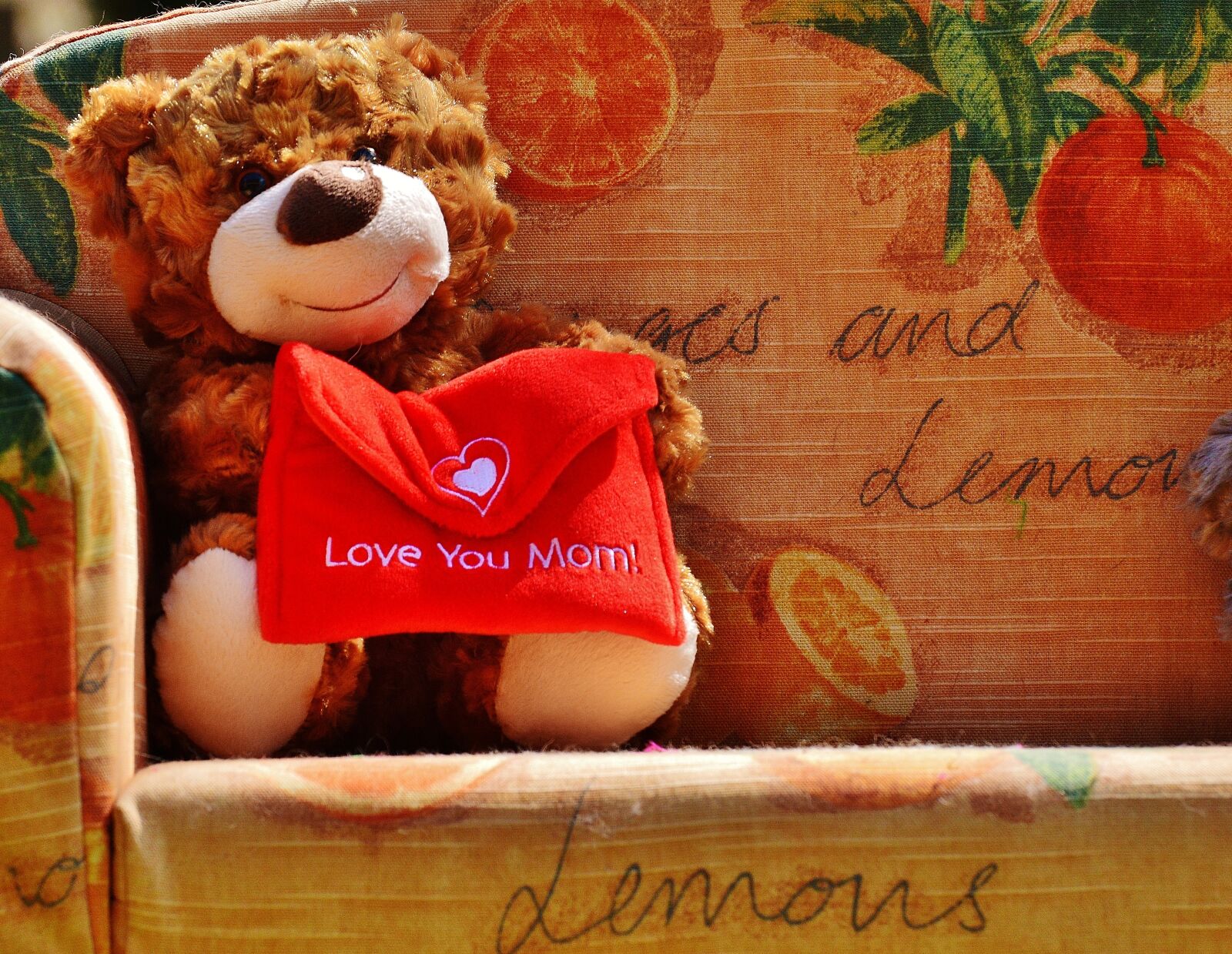Nikon D3200 sample photo. Teddy, mother's day, love photography