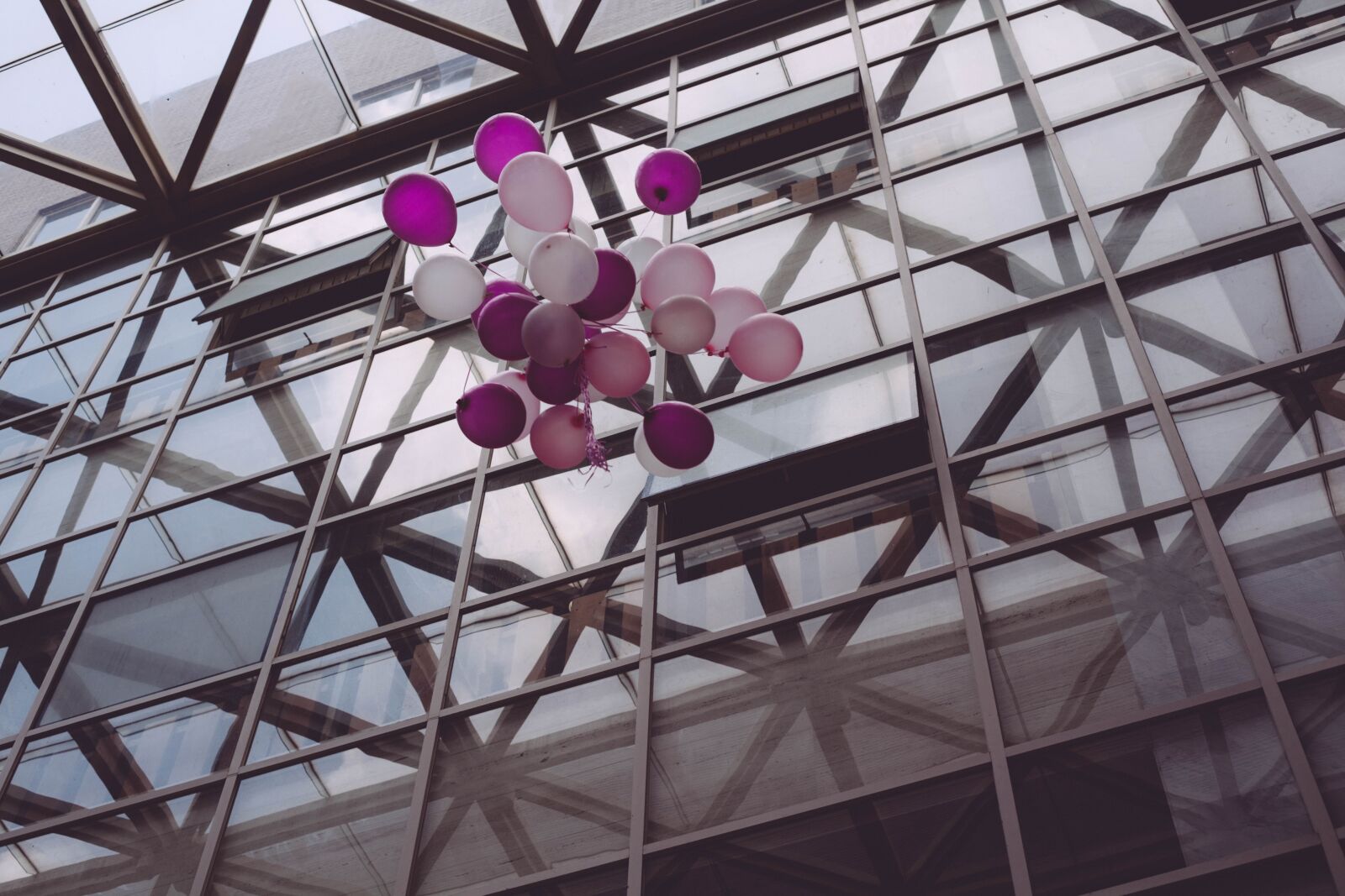 Canon EF 50mm F1.8 II sample photo. Balloon, free, glass photography