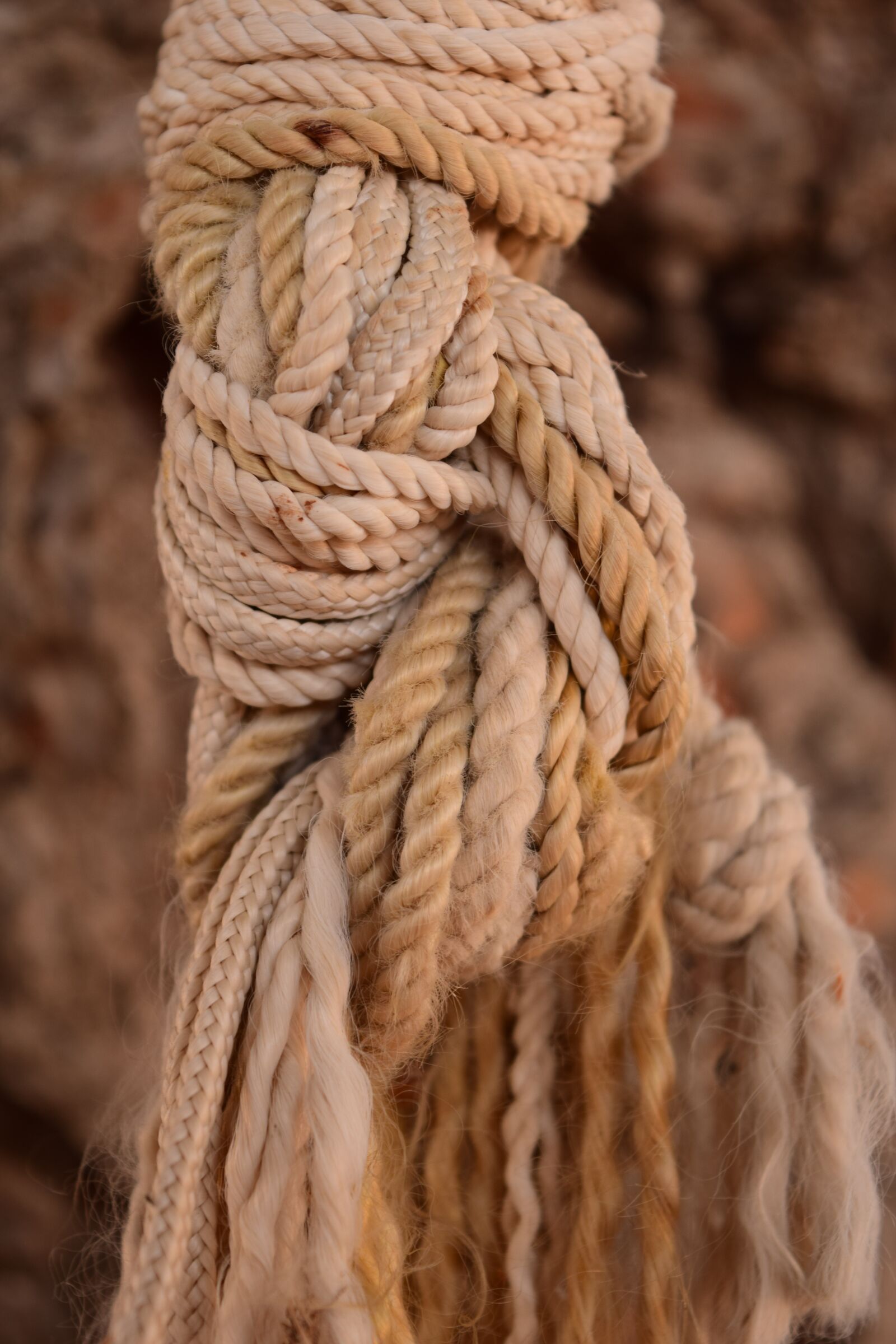 Nikon D3300 sample photo. Knot, rope, dew photography