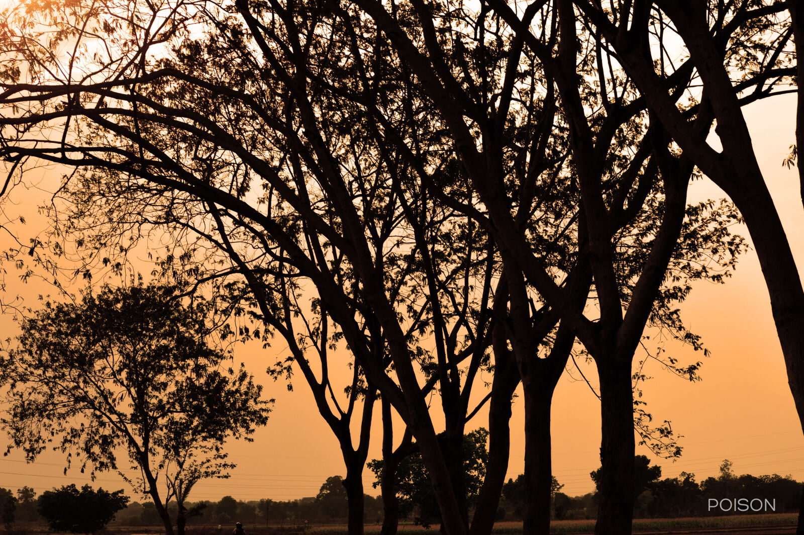 Nikon D3200 sample photo. Background, free, wallpaper, hd photography
