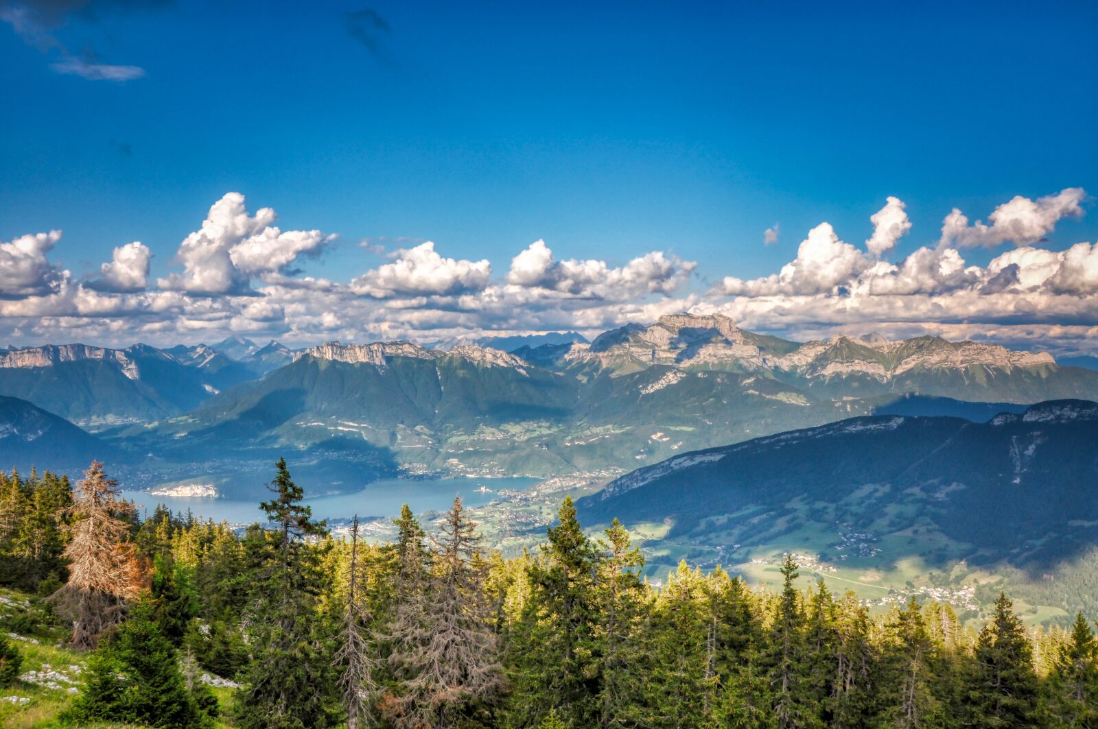 Nikon D90 sample photo. Mountain, semnoz, annecy photography
