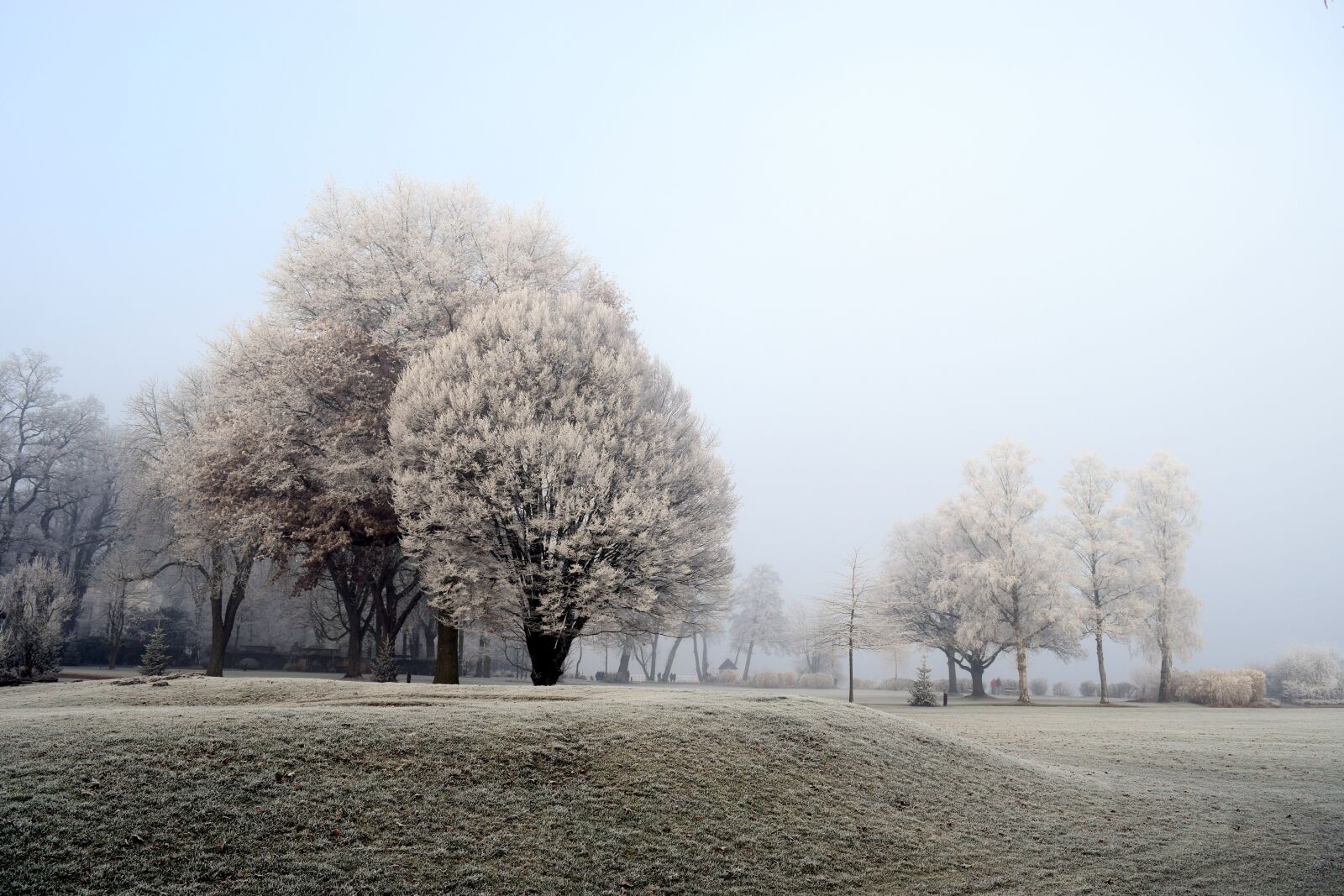 Nikon D3300 sample photo. Bad zwischenahn, lake, kurpark photography