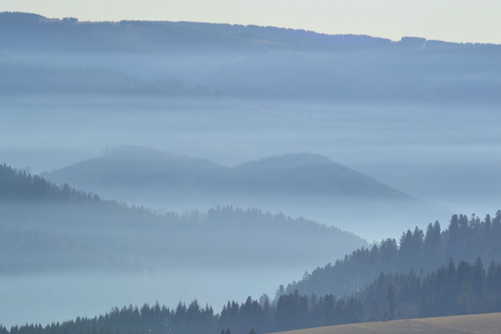 Nikon D3100 sample photo. Black forest, hiking, st photography