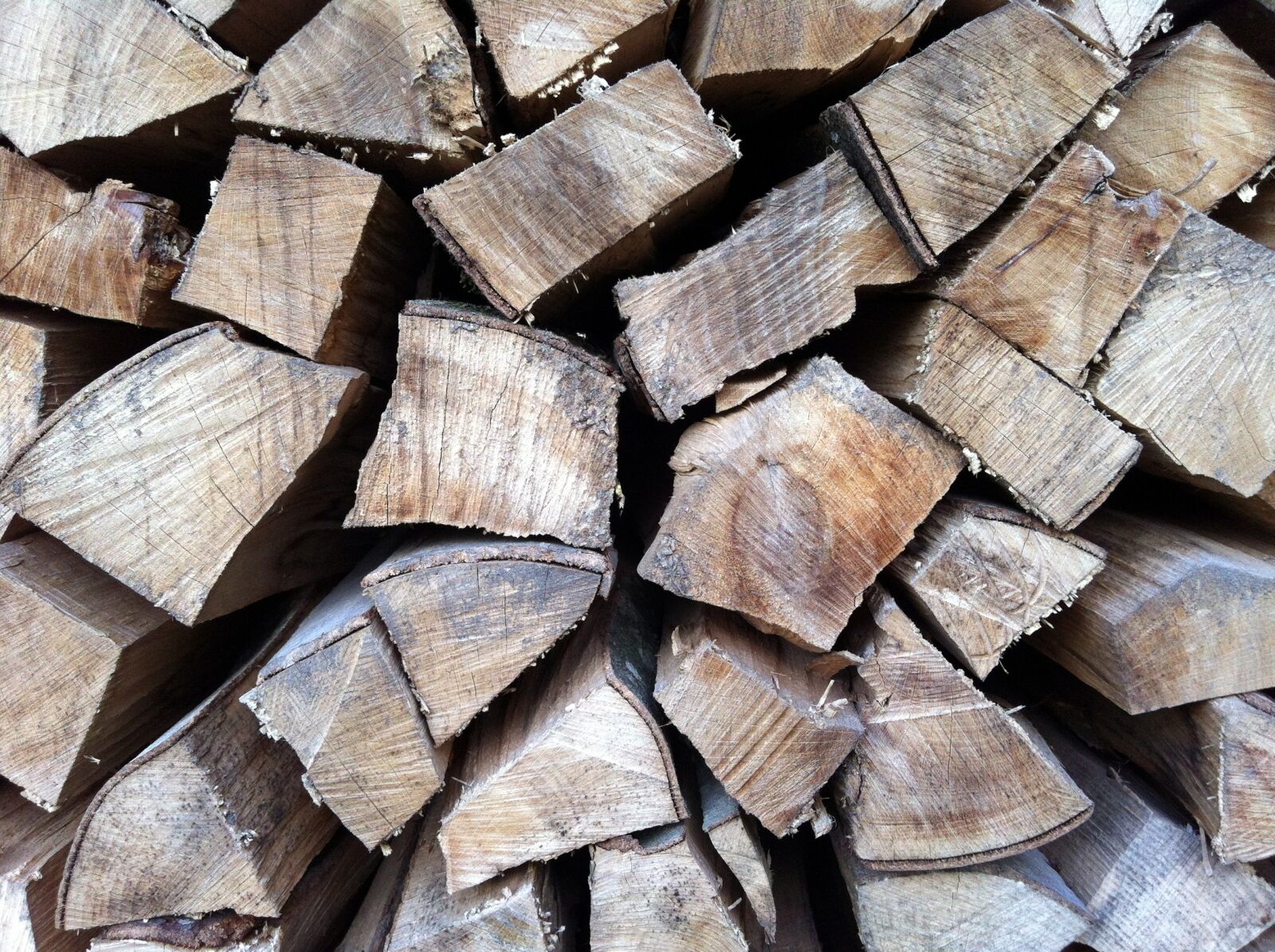 iPhone 4 back camera 3.85mm f/2.8 sample photo. Wood, logs, wood pile photography