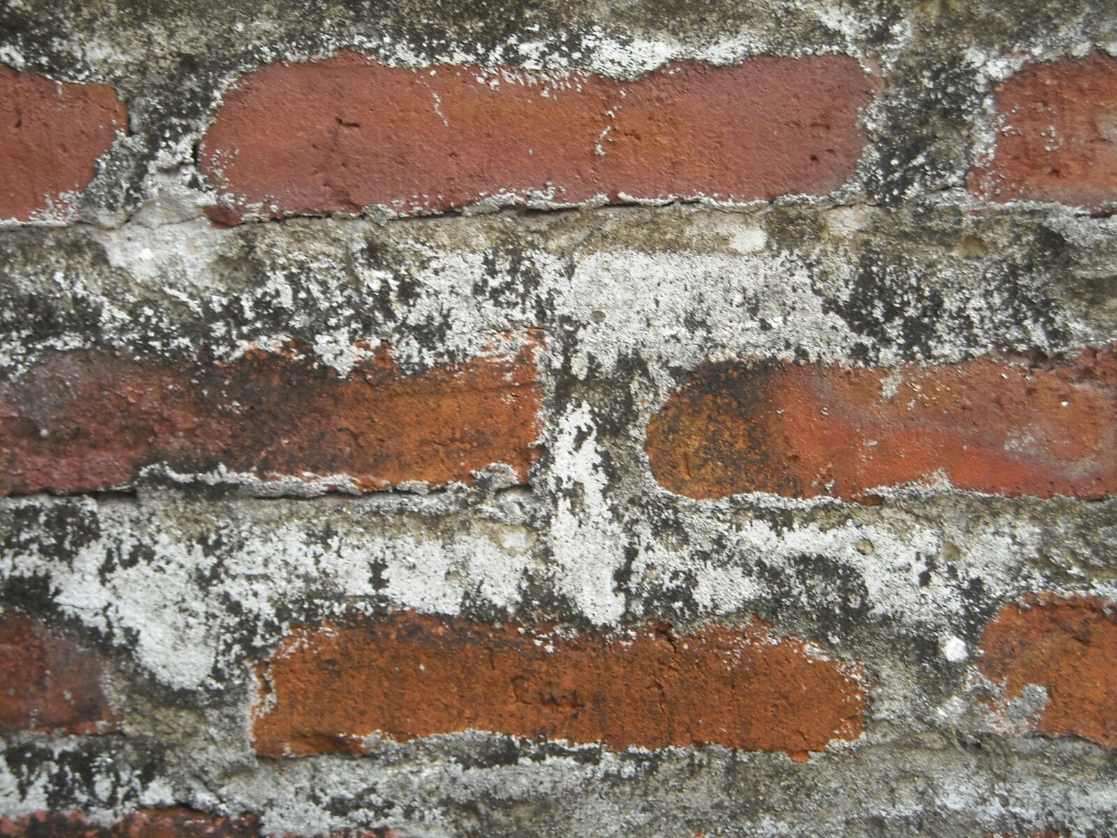 Nikon Coolpix L16 sample photo. Wall, brick, cement photography