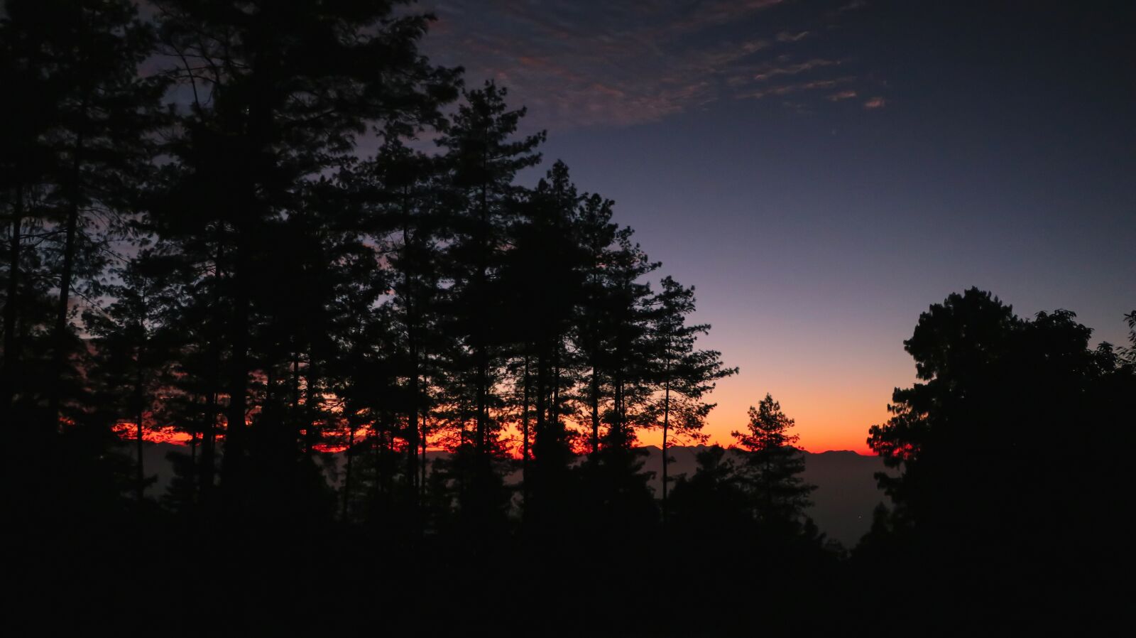 Canon EF-S 18-135mm F3.5-5.6 IS USM sample photo. Sunset, forest, nature photography