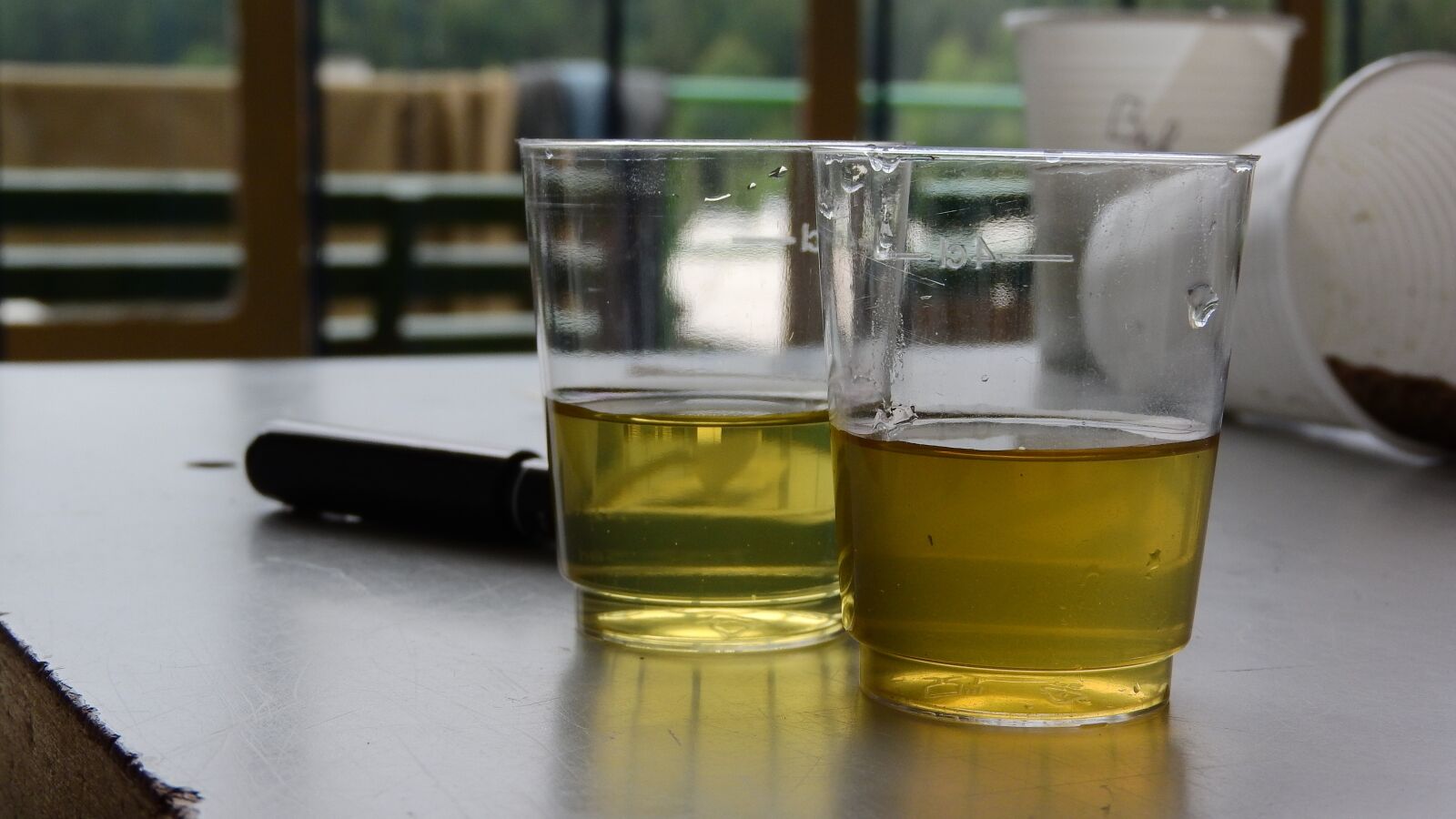Nikon Coolpix P610 sample photo. Solution, chemistry, the attempt photography