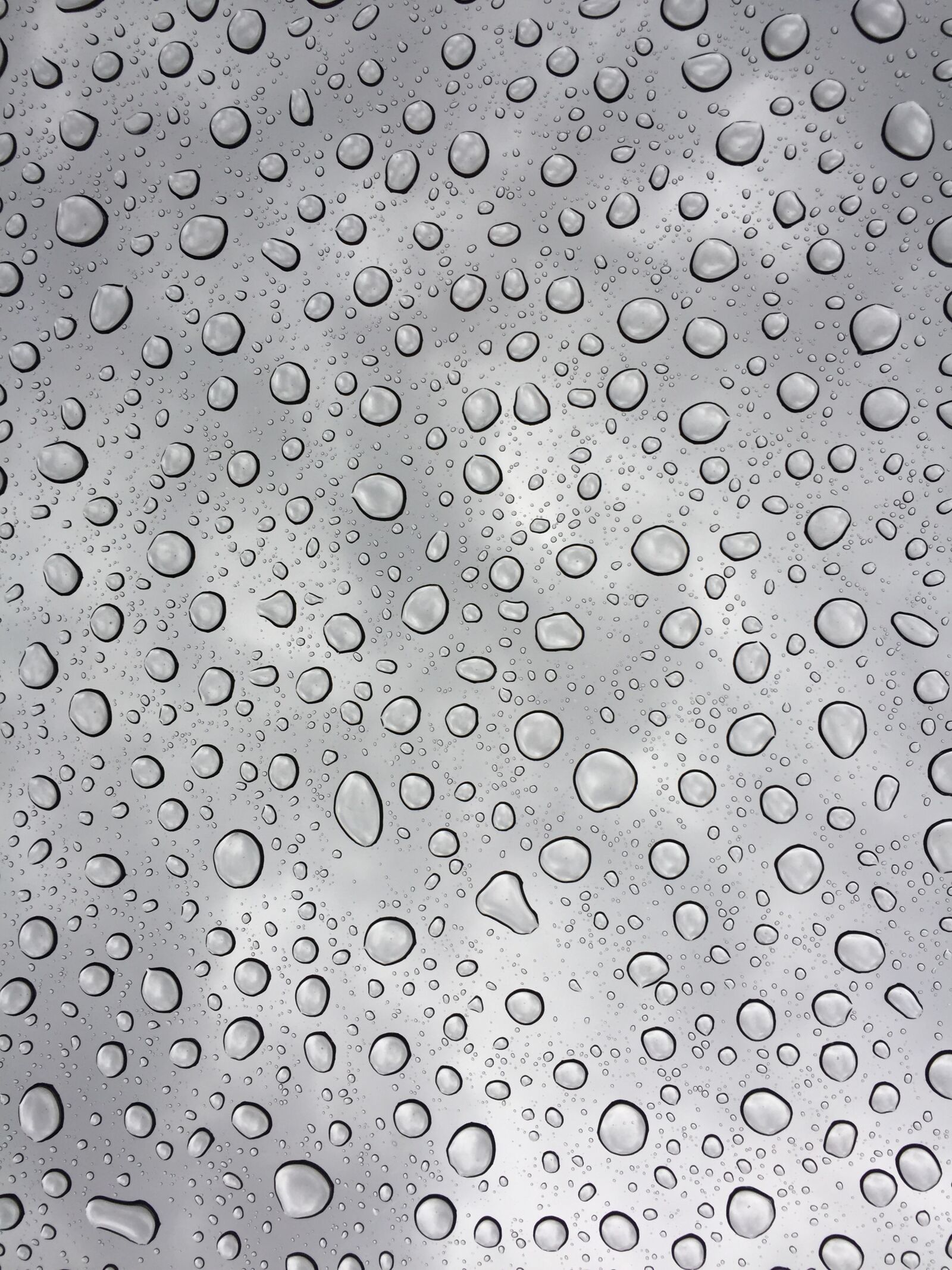 iPhone 6 Plus back camera 4.15mm f/2.2 sample photo. Water, droplets, drop photography