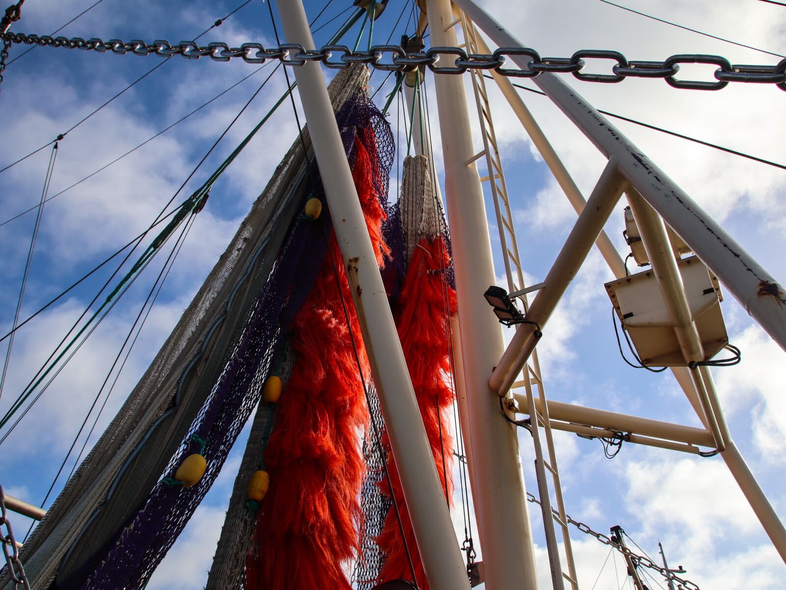 Canon EOS M50 (EOS Kiss M) sample photo. Butjadingen, cutter, shrimp photography