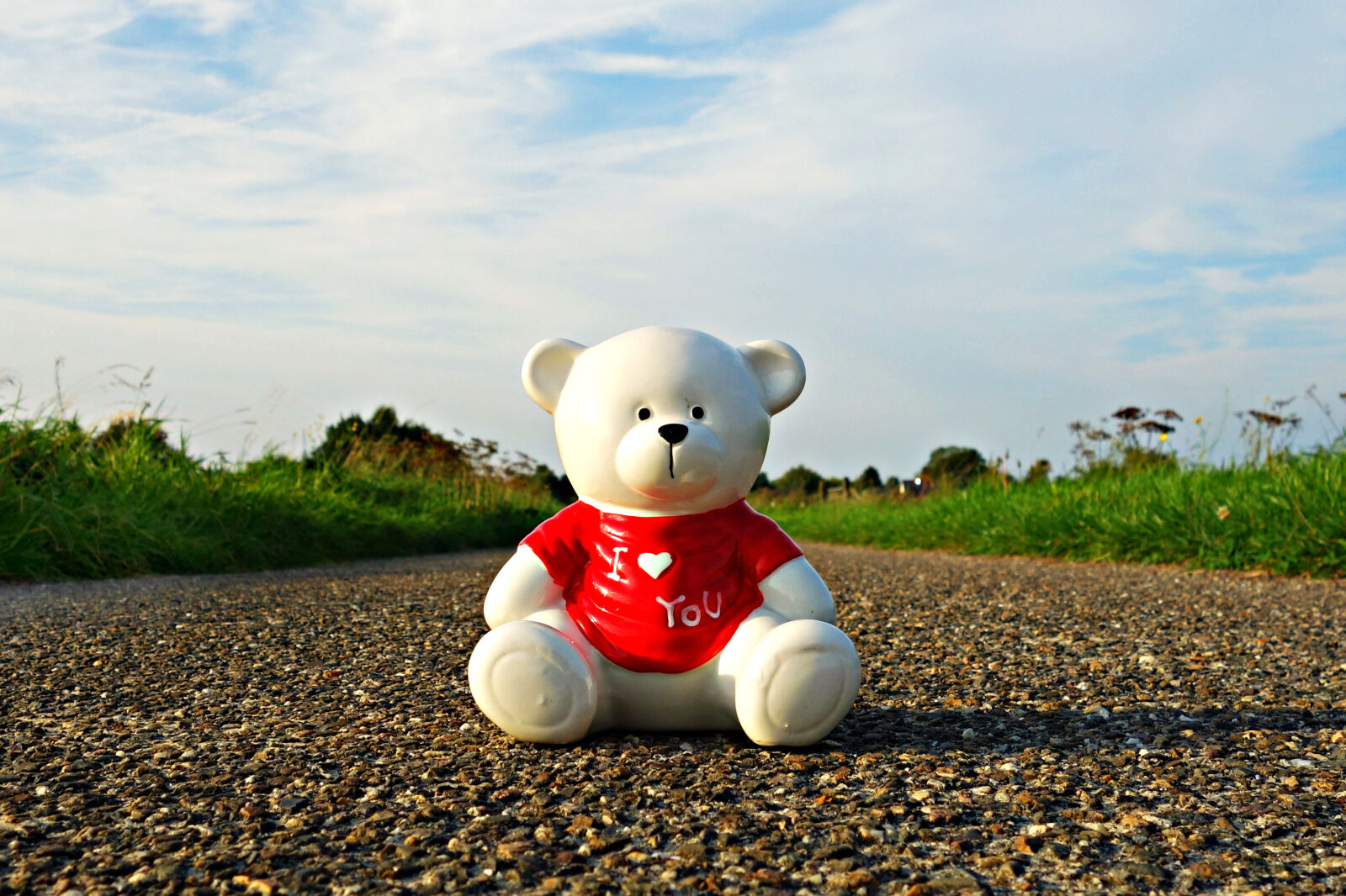 Sony Cyber-shot DSC-RX100 sample photo. Bear, ceramic, bear, ceramic photography