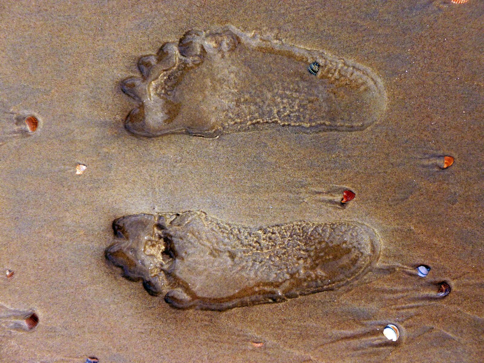 Panasonic DMC-FS37 sample photo. Footprint, feet, sand photography