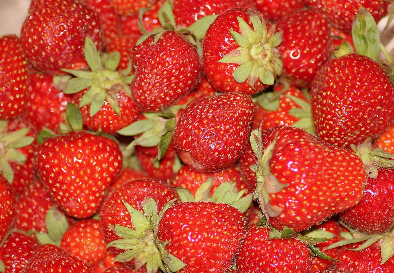 Canon EOS 1200D (EOS Rebel T5 / EOS Kiss X70 / EOS Hi) sample photo. Strawberries, a collection of photography