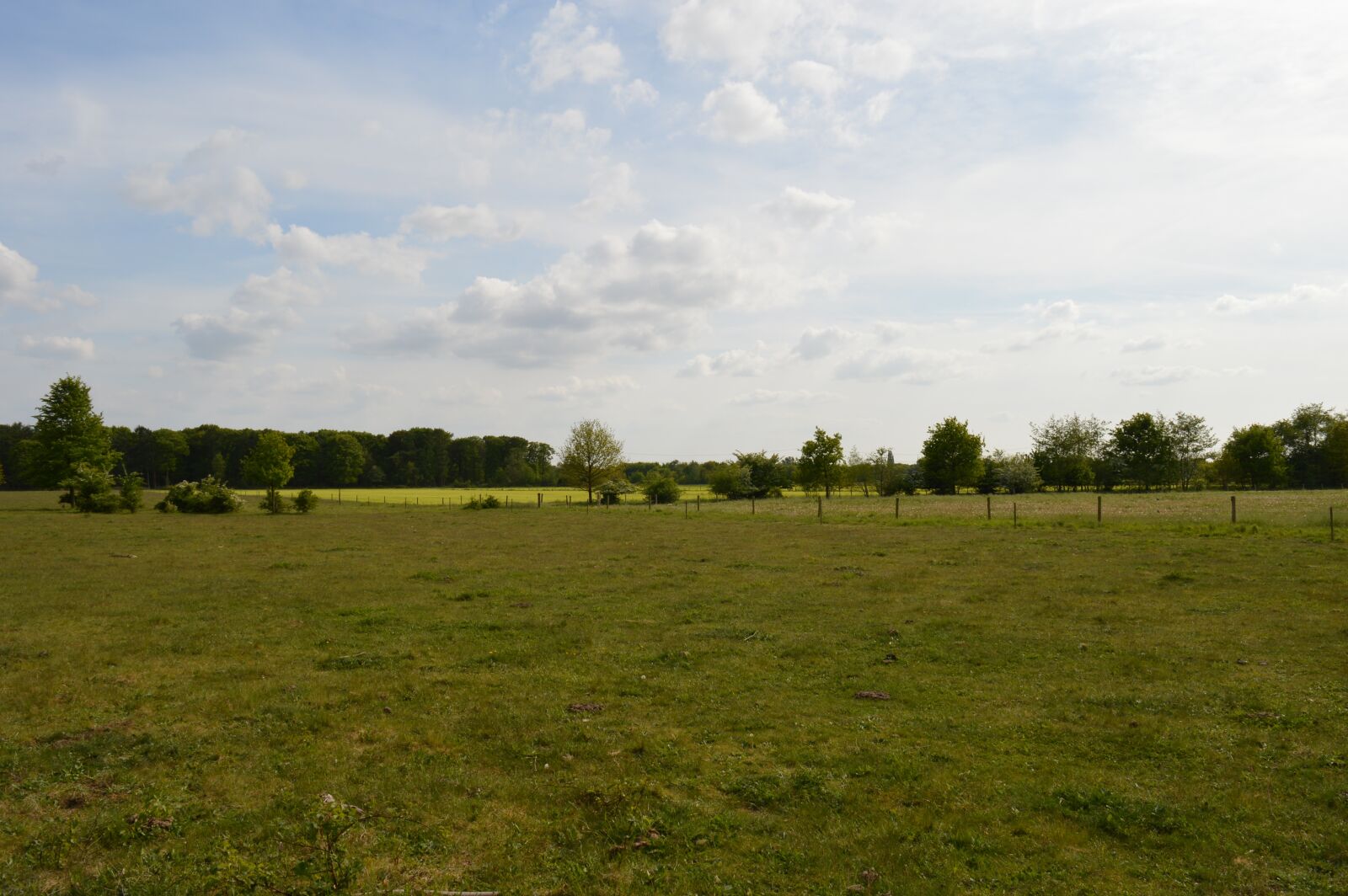 Nikon D3200 sample photo. Meadow, green grass, green photography