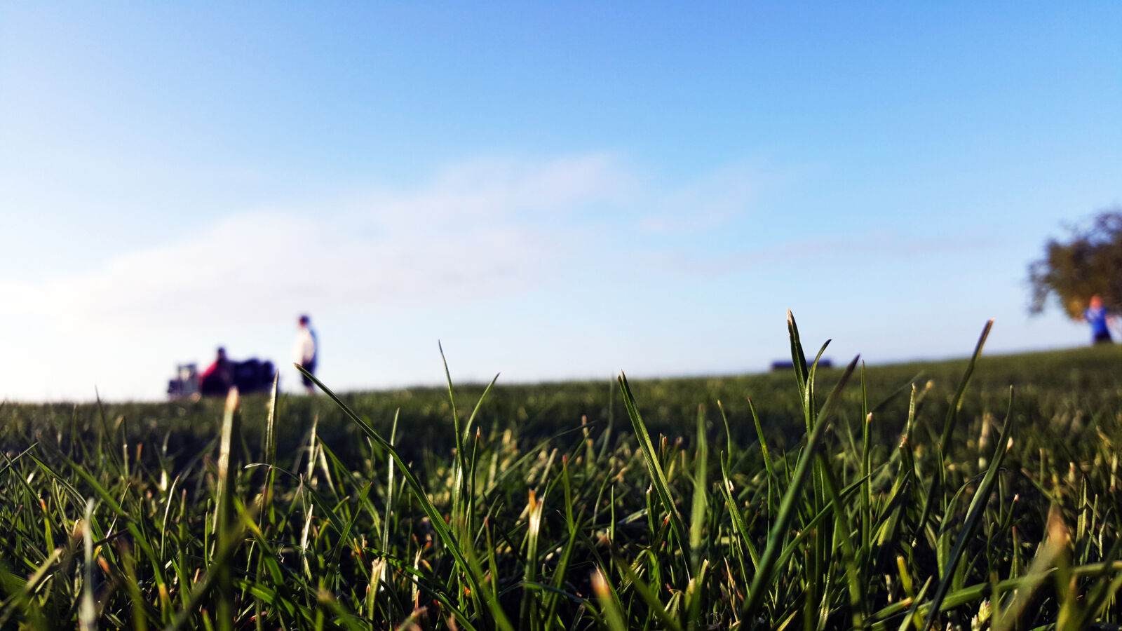 Samsung Galaxy Note5 sample photo. Grass, landscape, sky, skyline photography